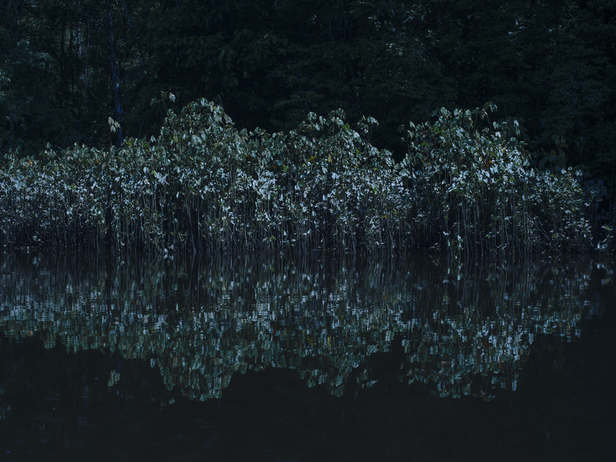 08 JEAN BAPTISTE DEGEZ LANDSCAPES CRAETIVE PARIS GUYANNA