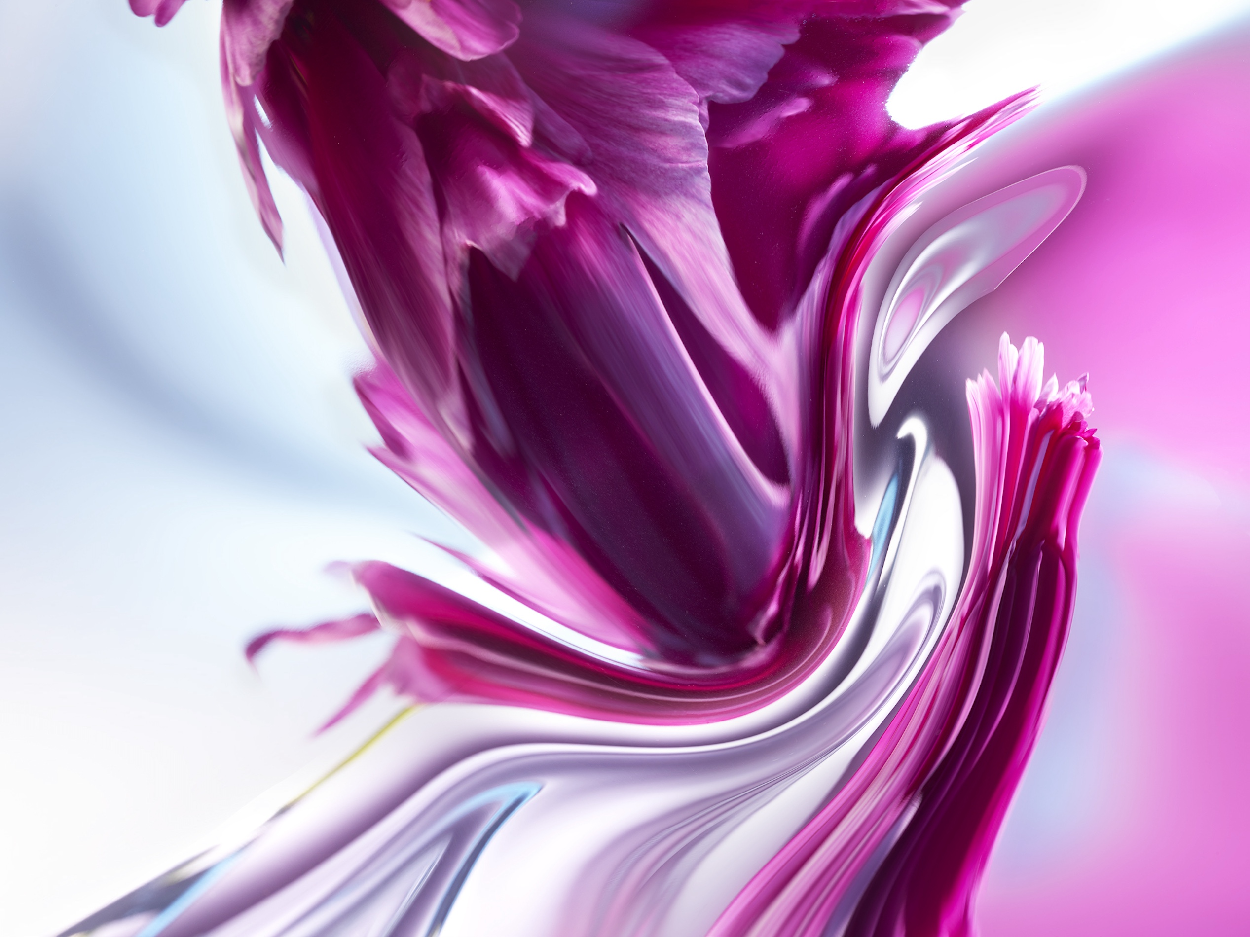 092 Jean Baptiste Degez Flowers Craetive Paris