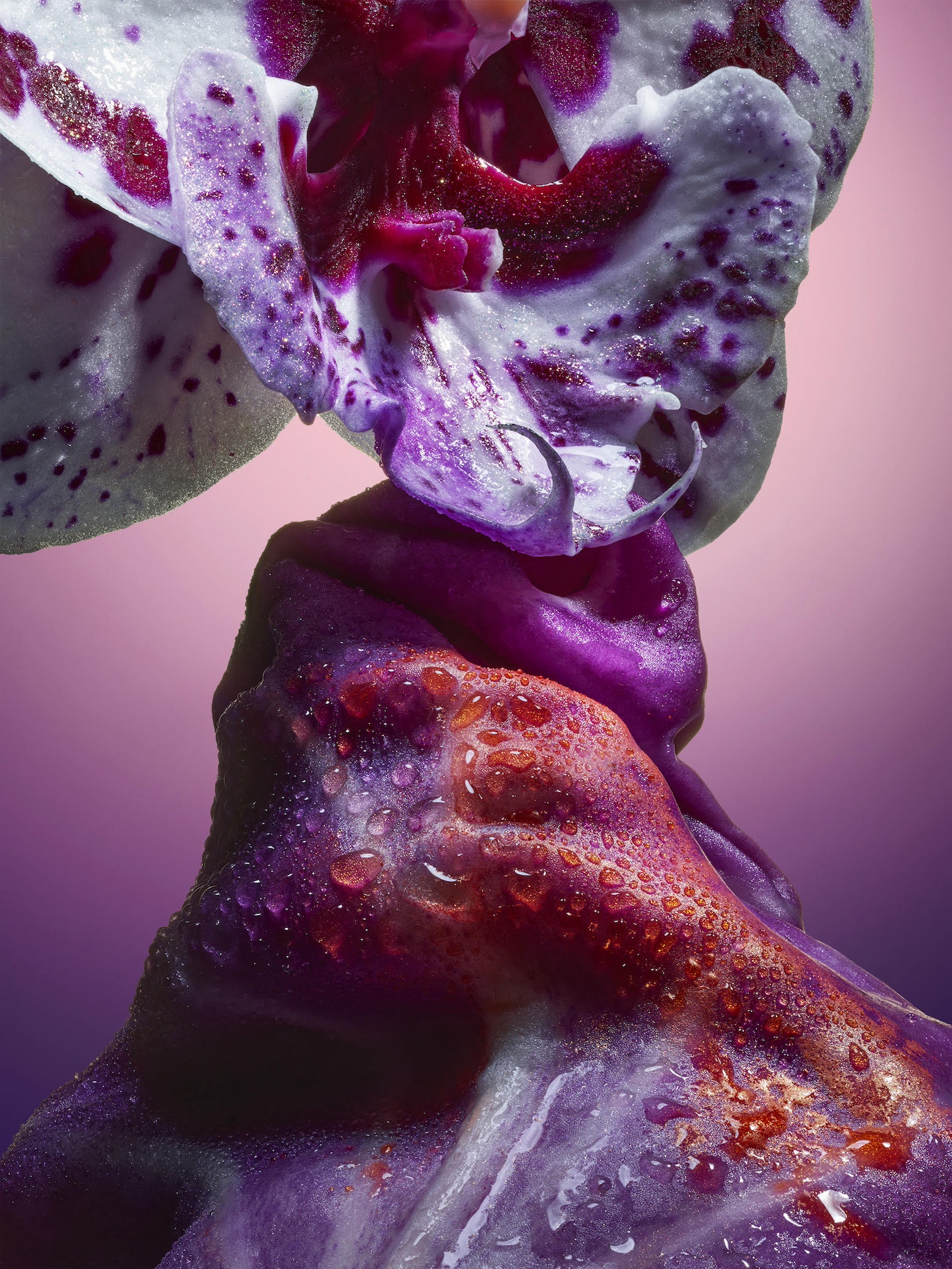 095 Jean Baptiste Degez Flowers Craetive Paris