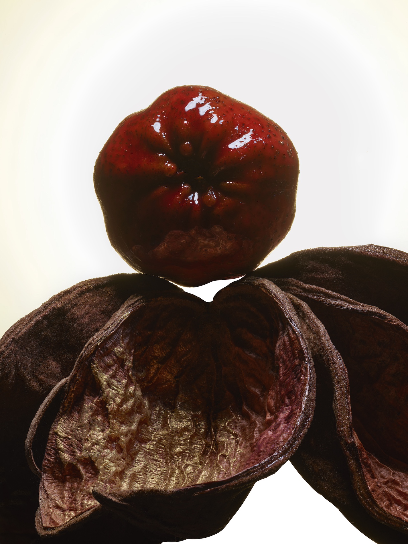 096 Jean Baptiste Degez Craetive Paris Portfolio