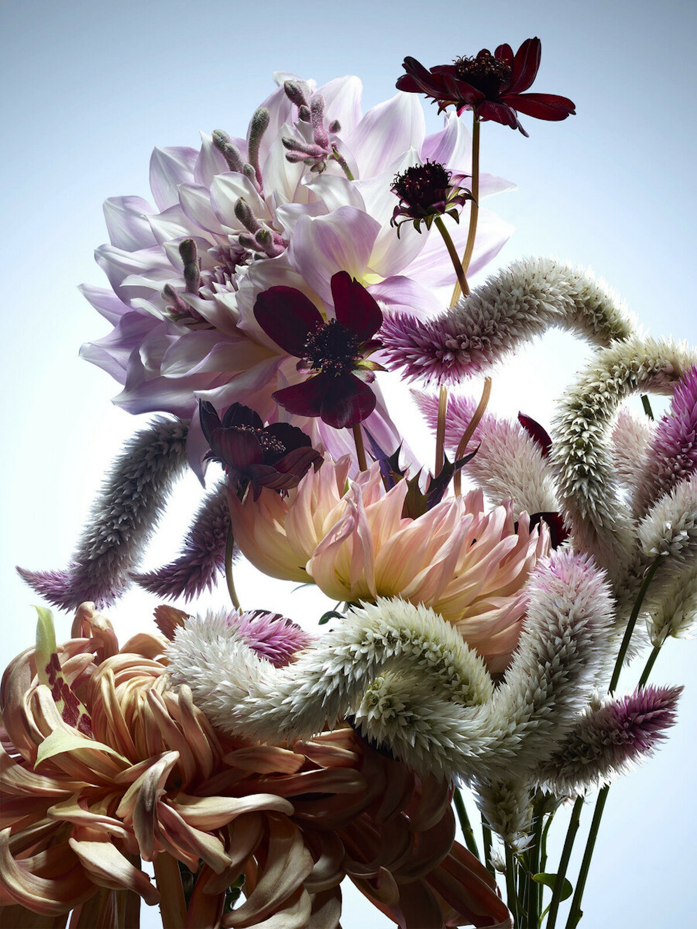 096 Jean Baptiste Degez Flowers Craetive Paris