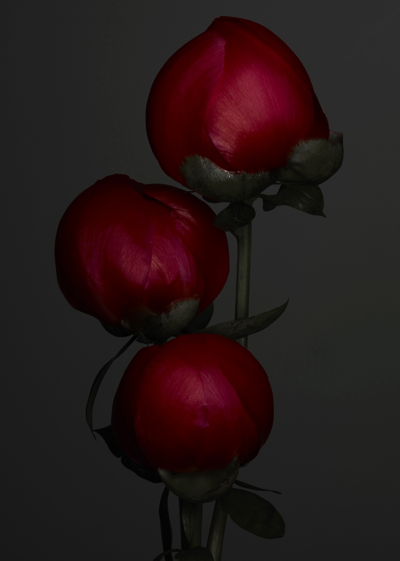 097 Jean Baptiste Degez Craetive Paris Portfolio