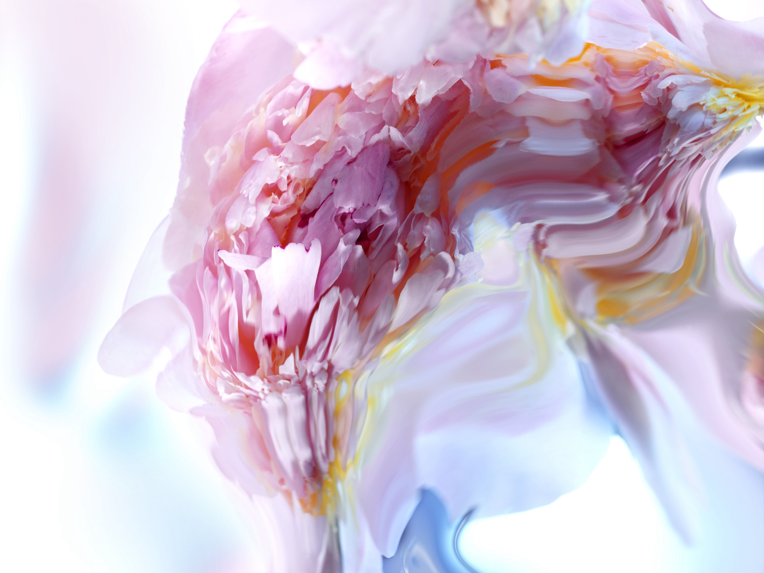 097 Jean Baptiste Degez Flowers Craetive Paris