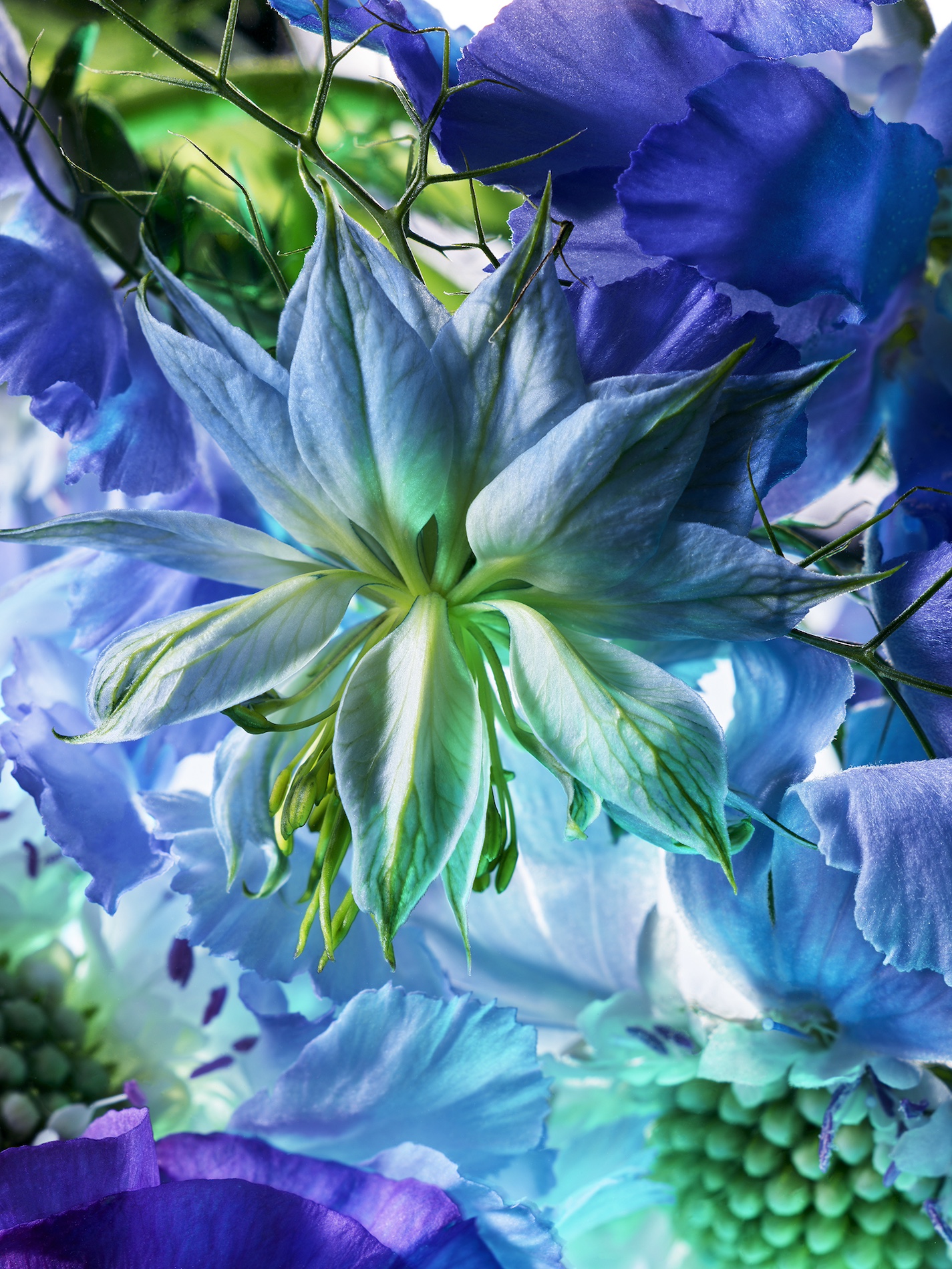 106 Jean Baptiste Degez Flowers Craetive Paris