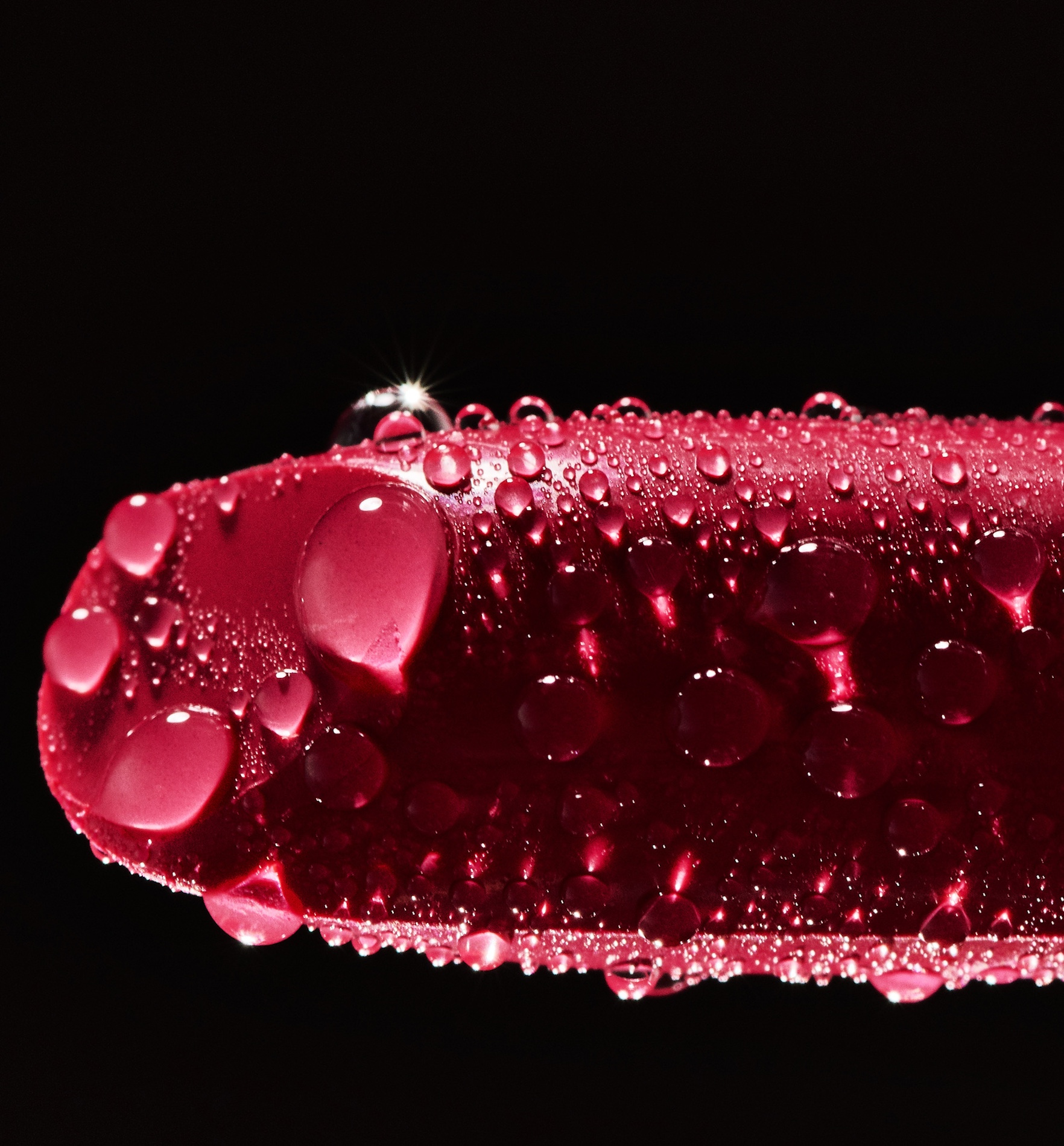 109 Fernando Gomez Craetive Paris Bold Make Up