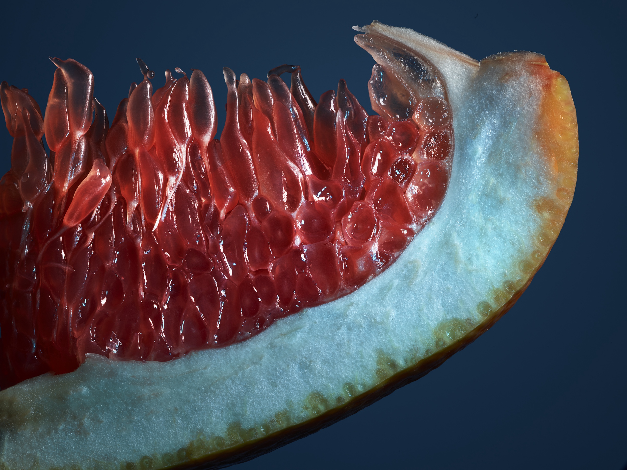 109 Jean Baptiste Degez Flowers Craetive Paris