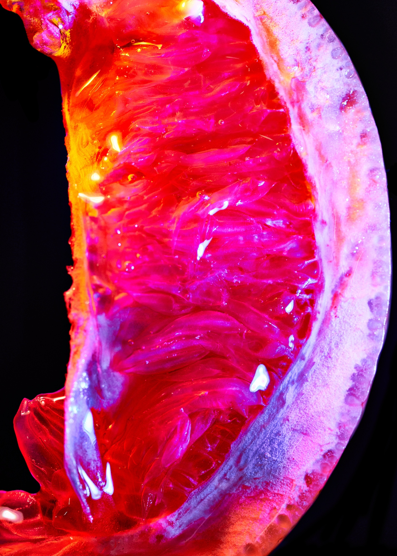 10 Fernando Gomez Craetive Paris Fragrances Flowers