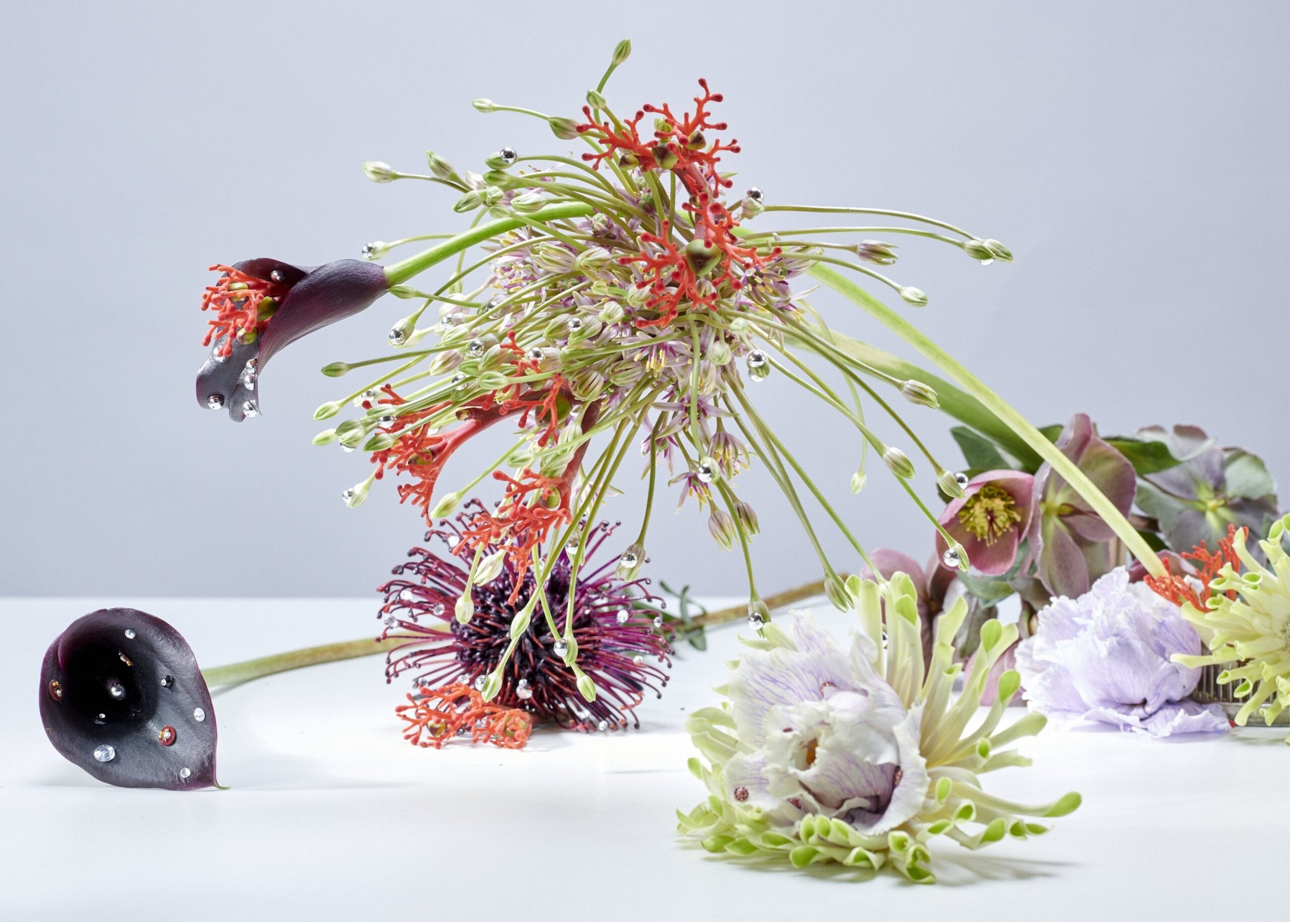 10 Thyrse Craetive Paris Portfolio CG 03 Scaled