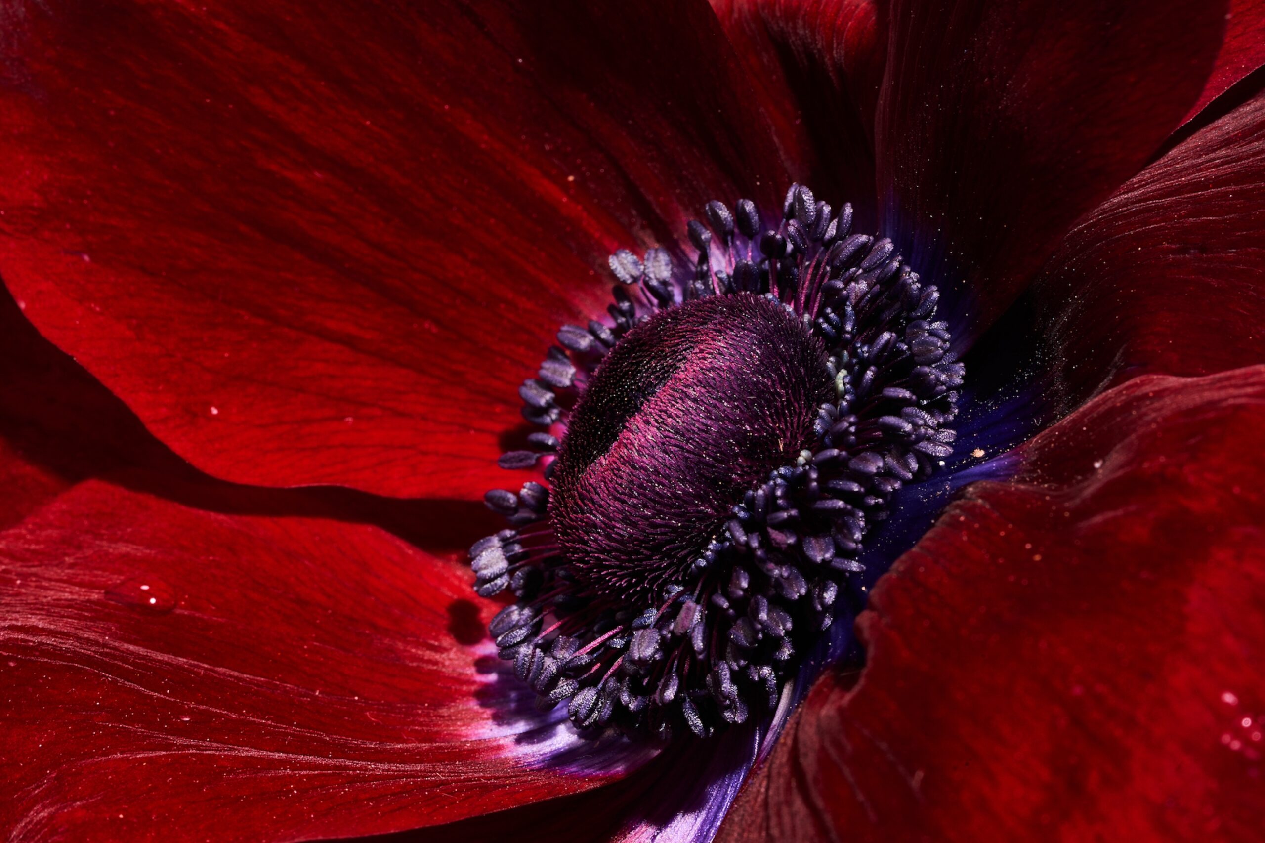 116 Fernando Gomez Craetive Paris Bold Make Up