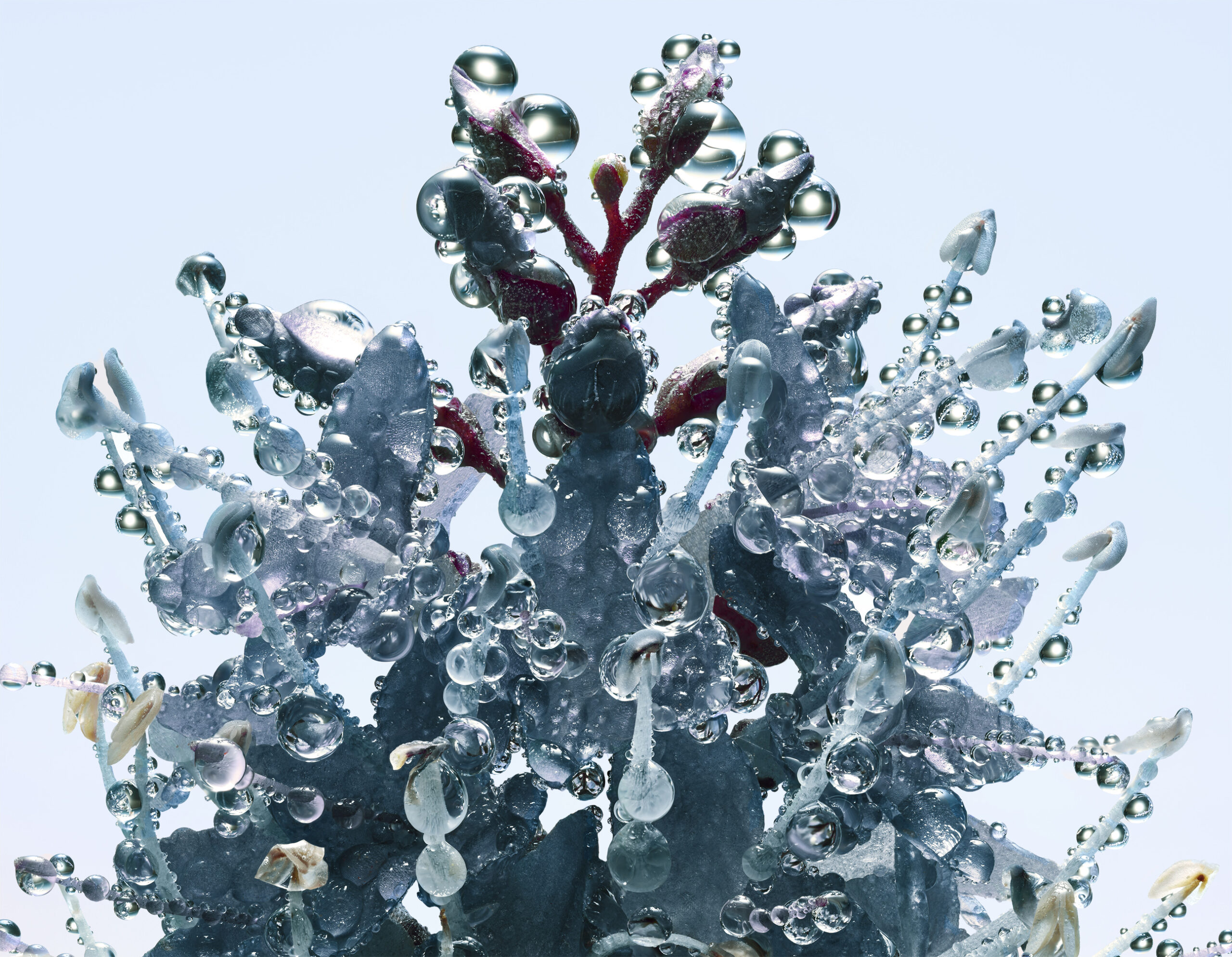 Stacked From 68 Images. Method=B (R=8,S=4)