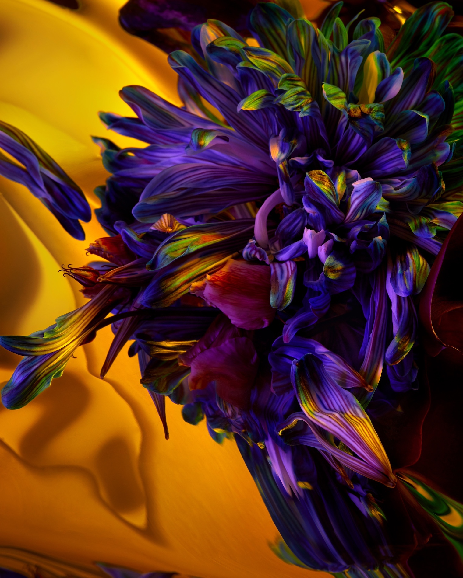 11 Thyrse Craetive Paris Portfolio BO 06