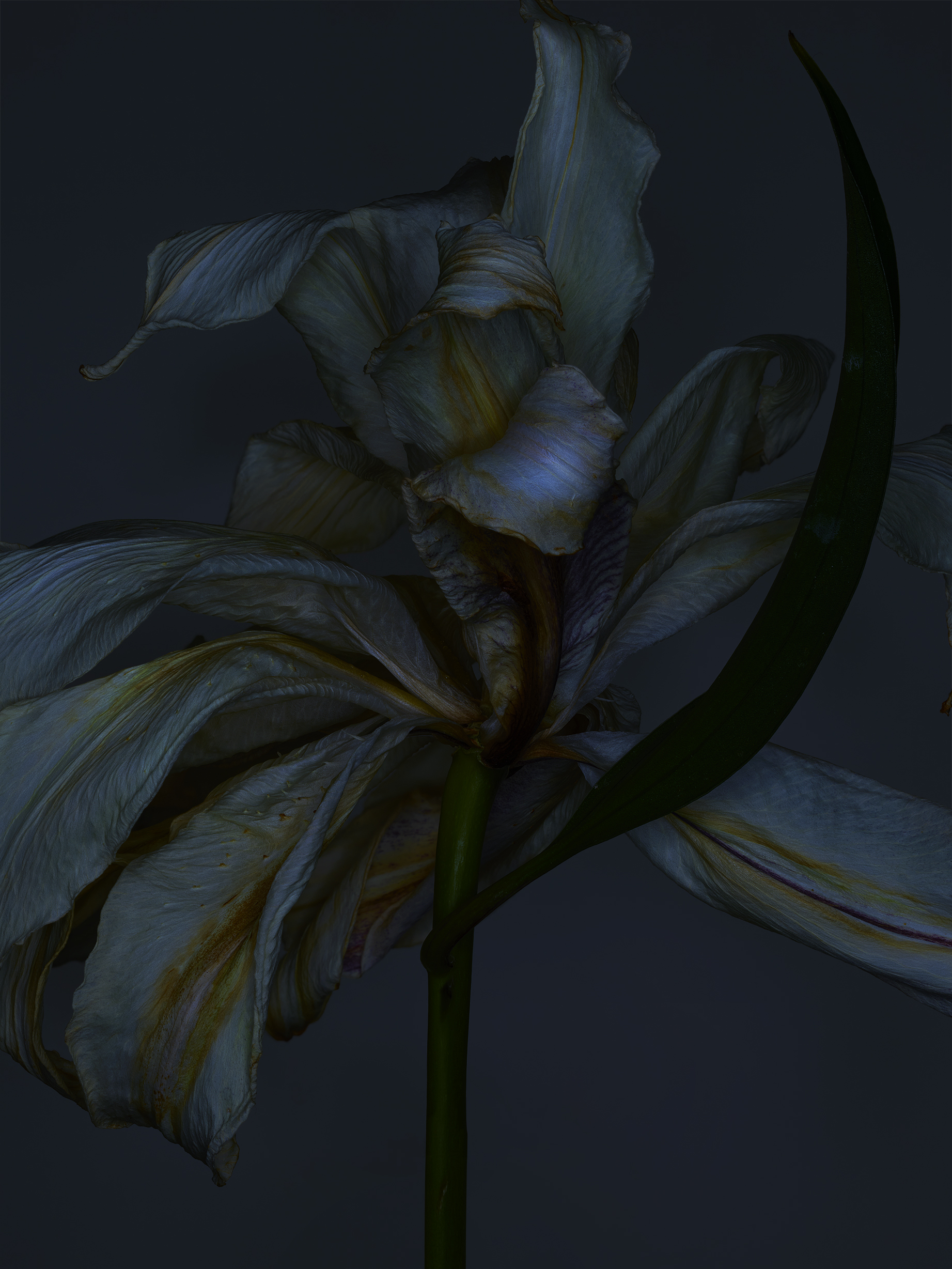 Stacked From 13 Images. Method=B (R=2,S=8)