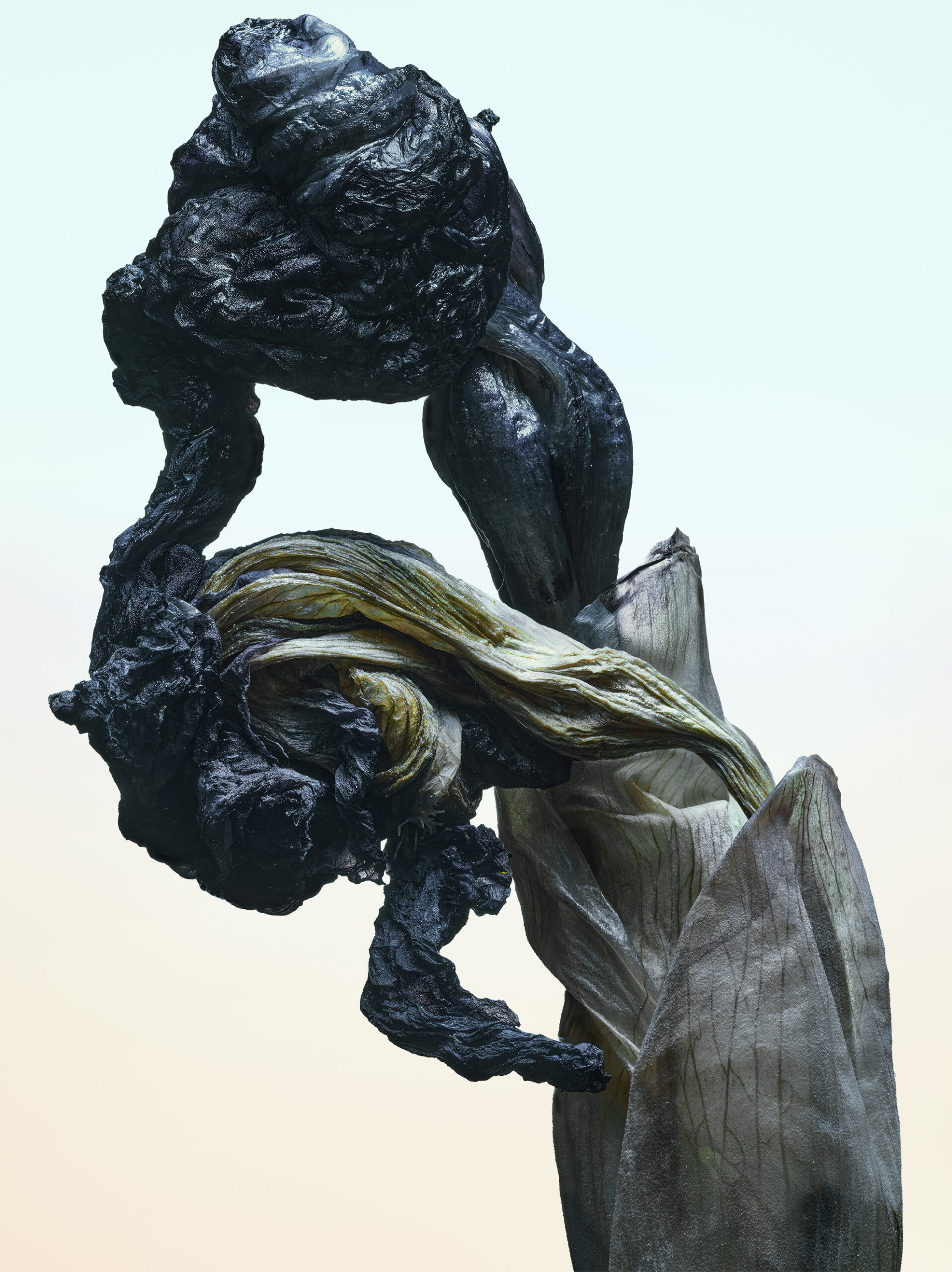 Stacked From 28 Images. Method=B (R=8,S=4)