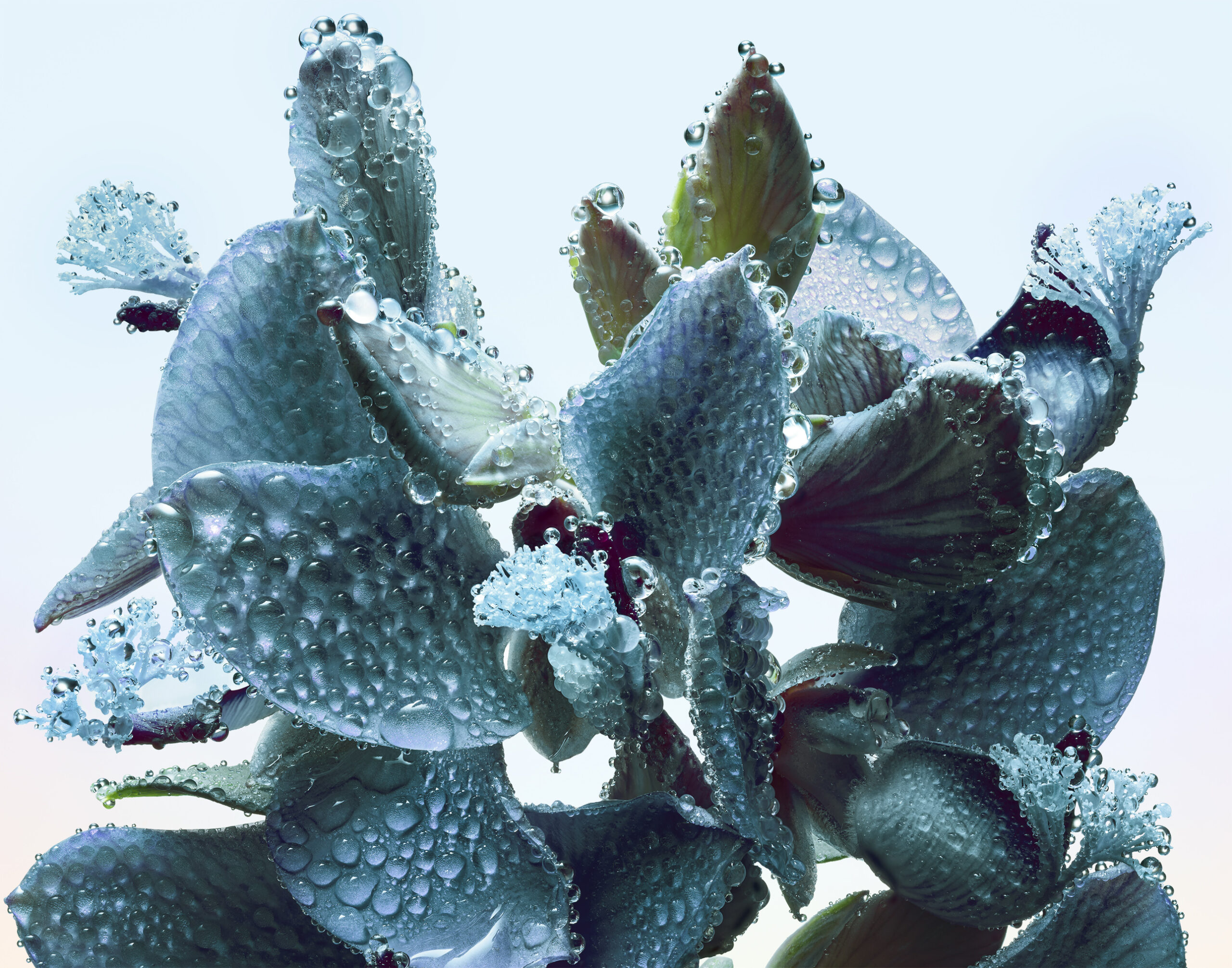 Stacked From 41 Images. Method=B (R=8,S=4)