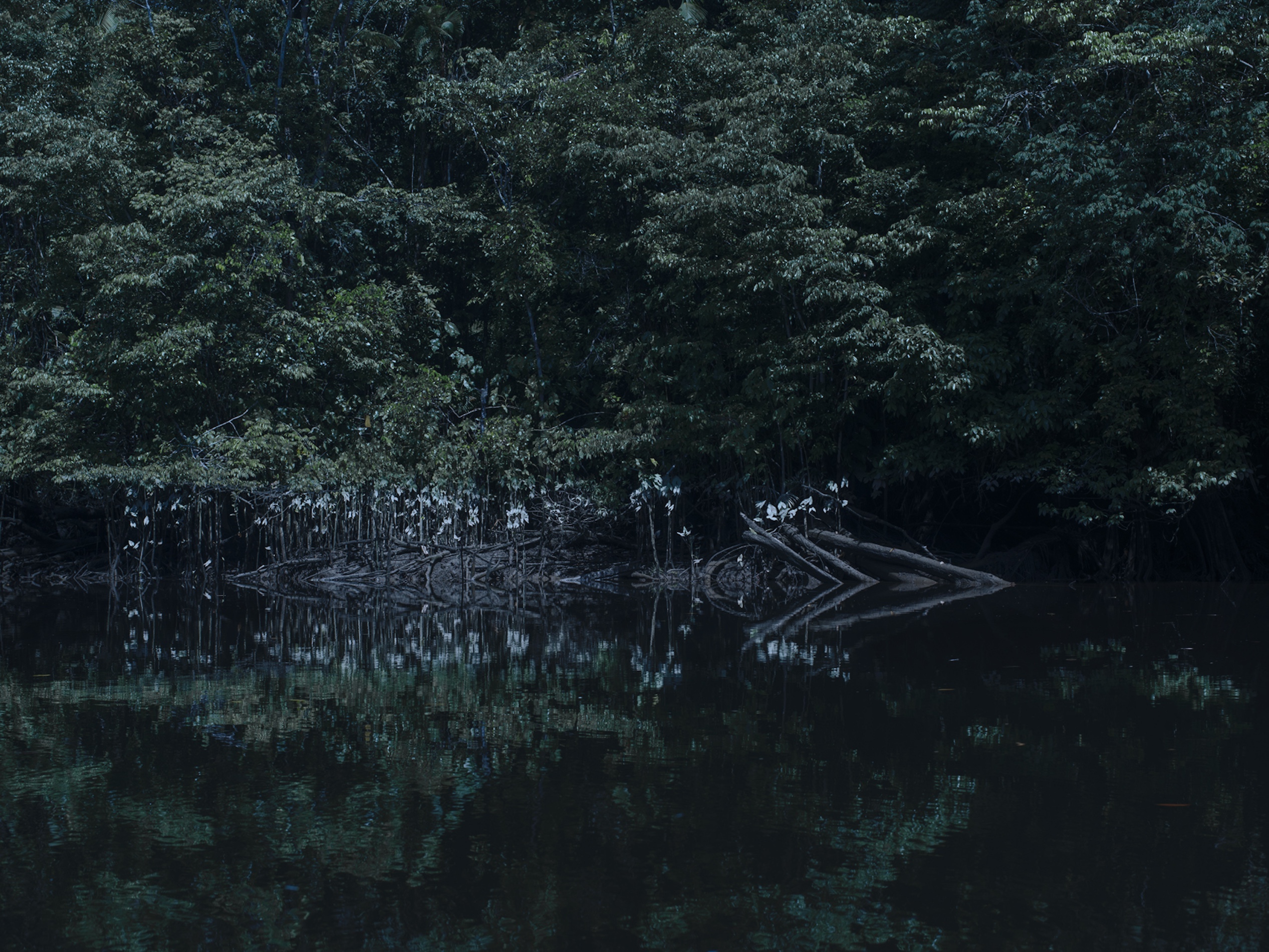 12 JEAN BAPTISTE DEGEZ LANDSCAPES CRAETIVE PARIS GUYANNA 2