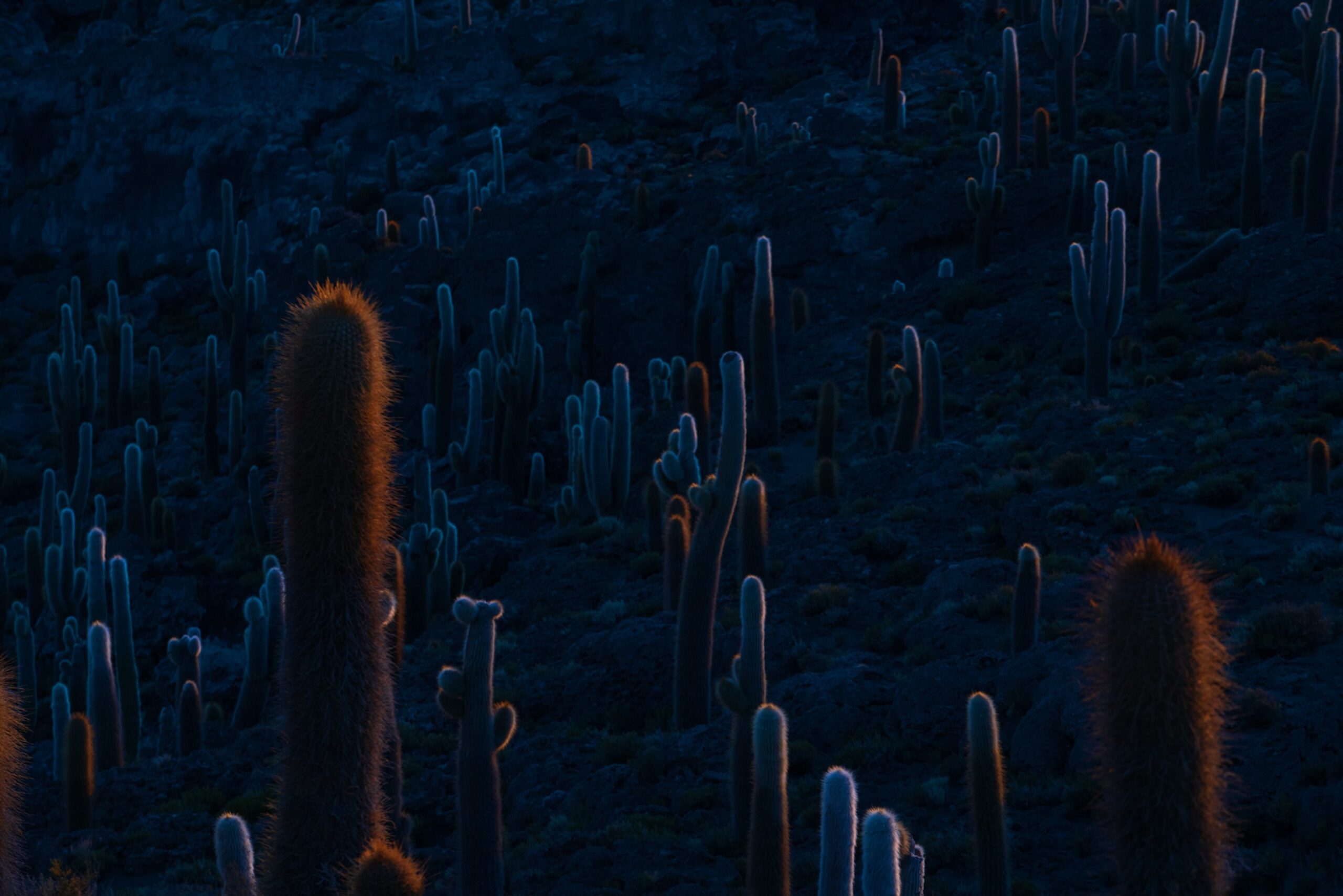 13 JEAN BAPTISTE DEGEZ LANDSCAPES CRAETIVE PARIS BOLIVIA 6