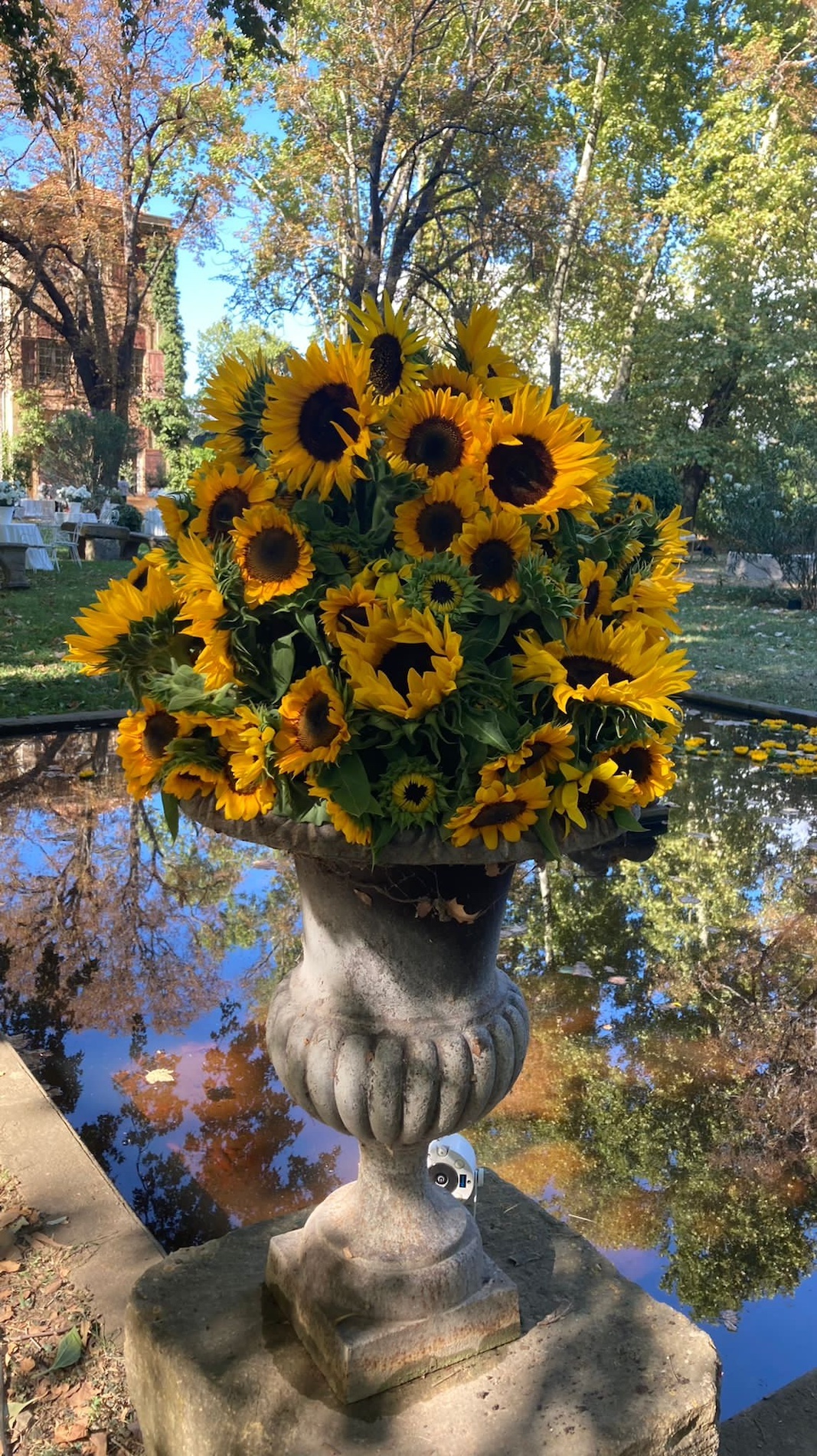 13 Thyrse Craetive Paris Scenography Jaquemus3