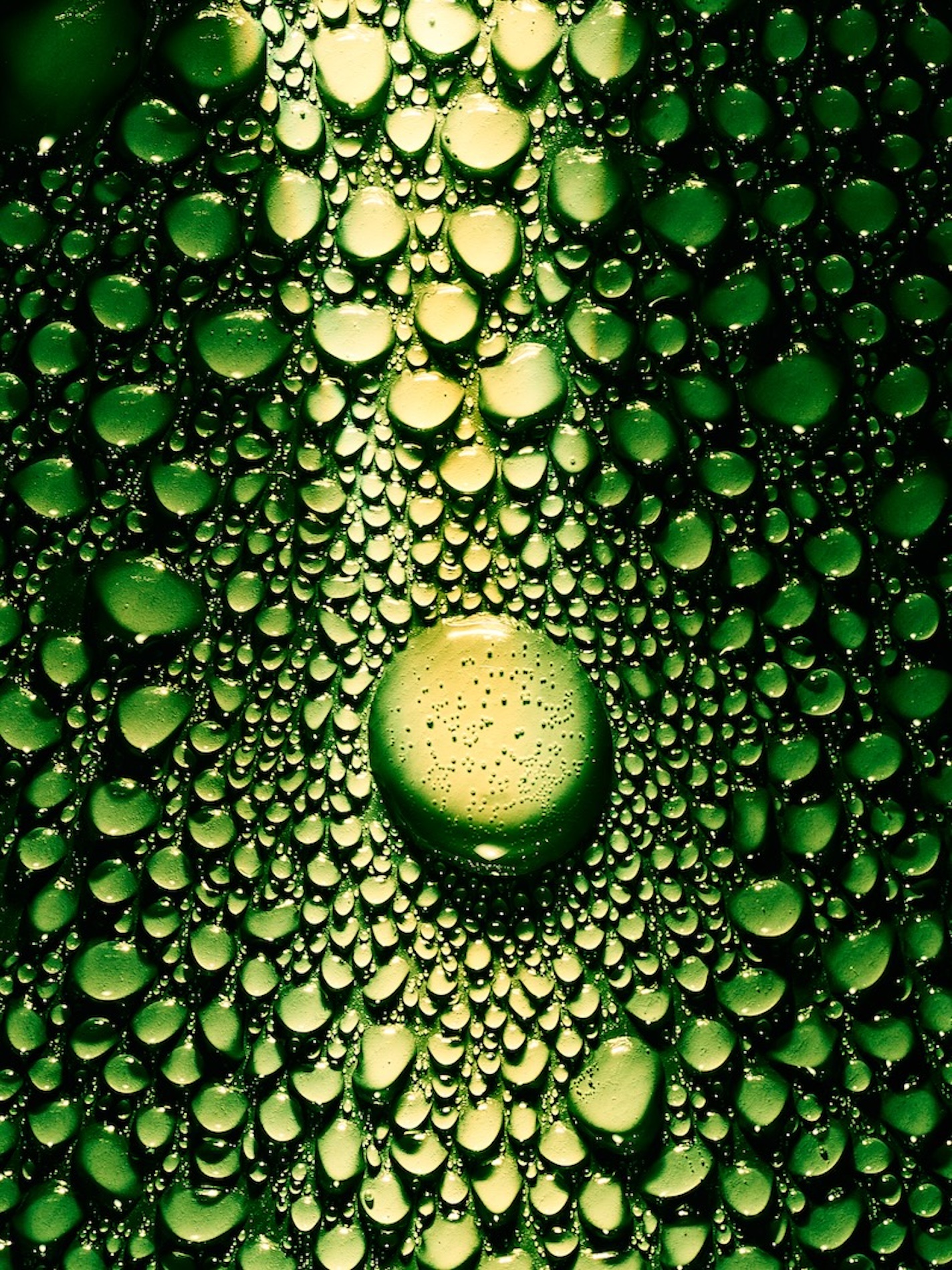 14 Fernando Gomez Craetive Paris Beauty Skincare