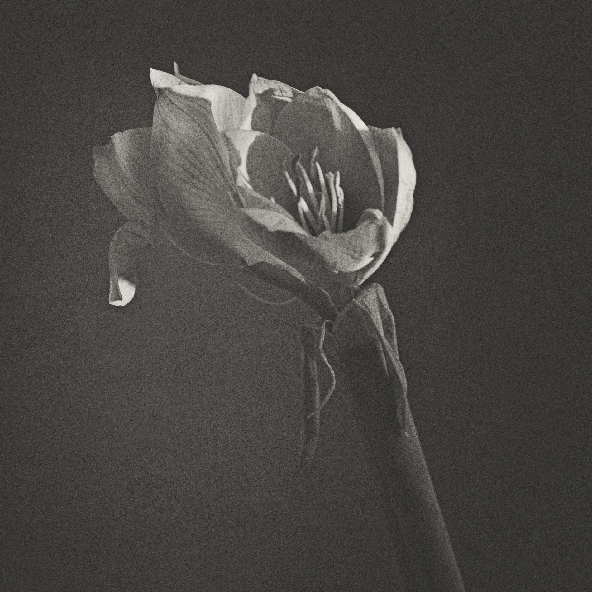 Retouch By: Wetouch Imagework