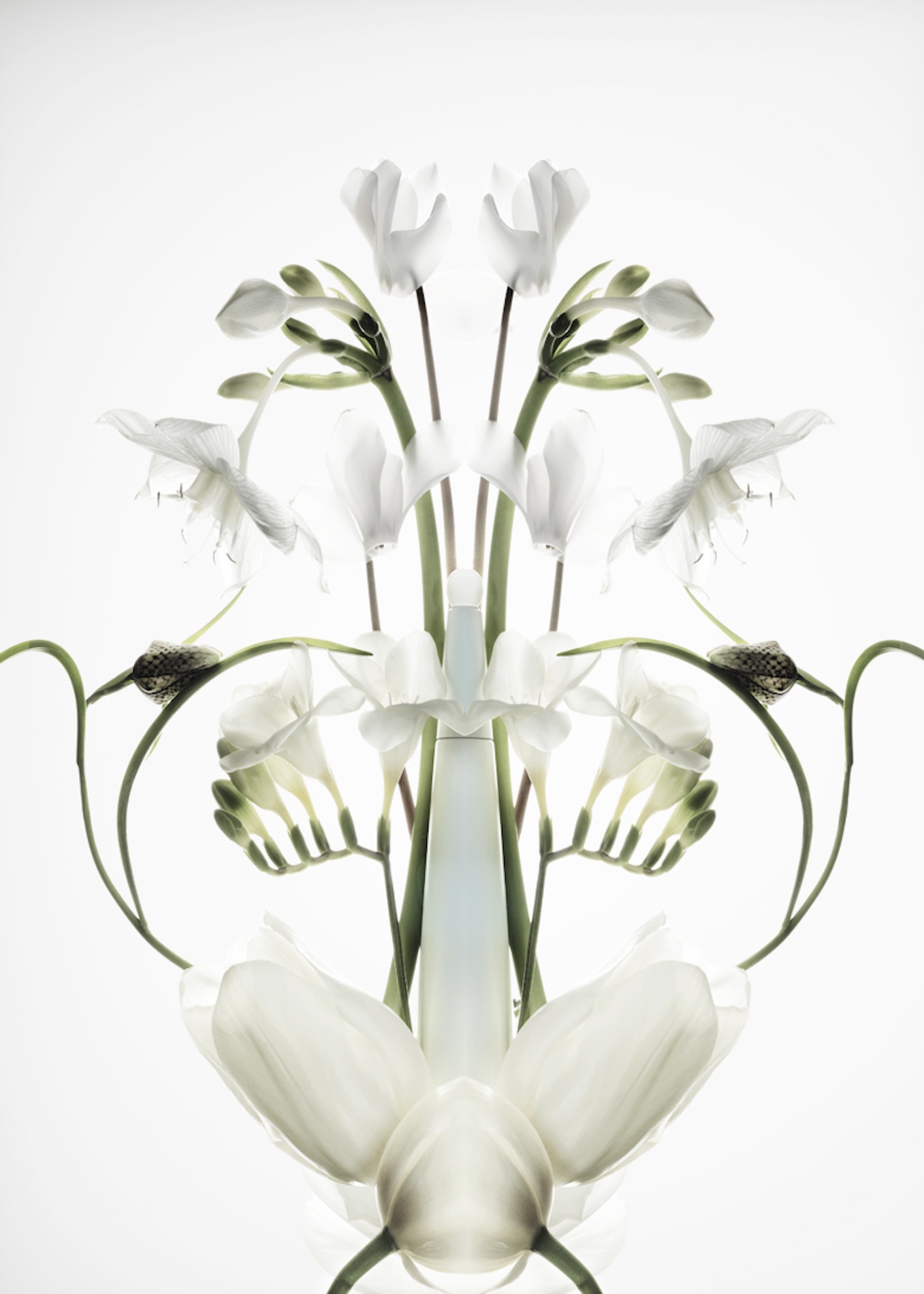 15 Jean Baptiste Degez Fragrances Craetive Paris Jean Baptiste Degez ISSEY MIYAKE