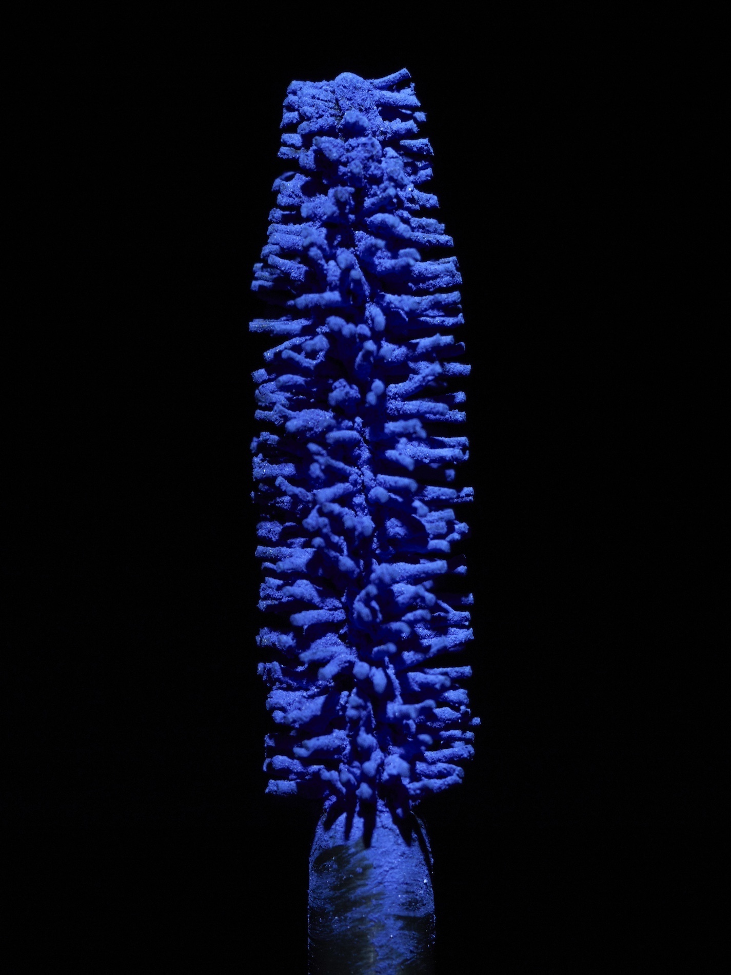 15 Simon Escourbiac Craetive Paris Makeup EYES A15