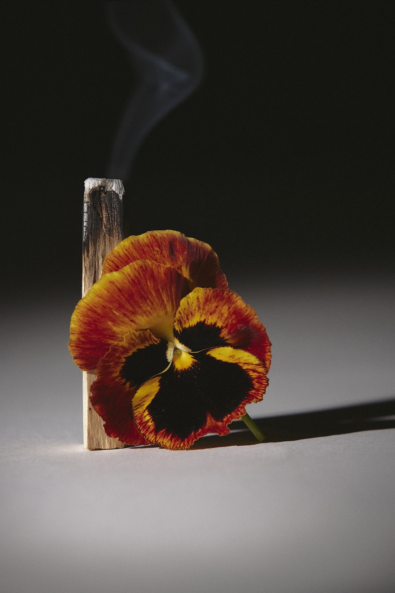 15 Thyrse Craetive Paris Portfolio Blumenhaus11