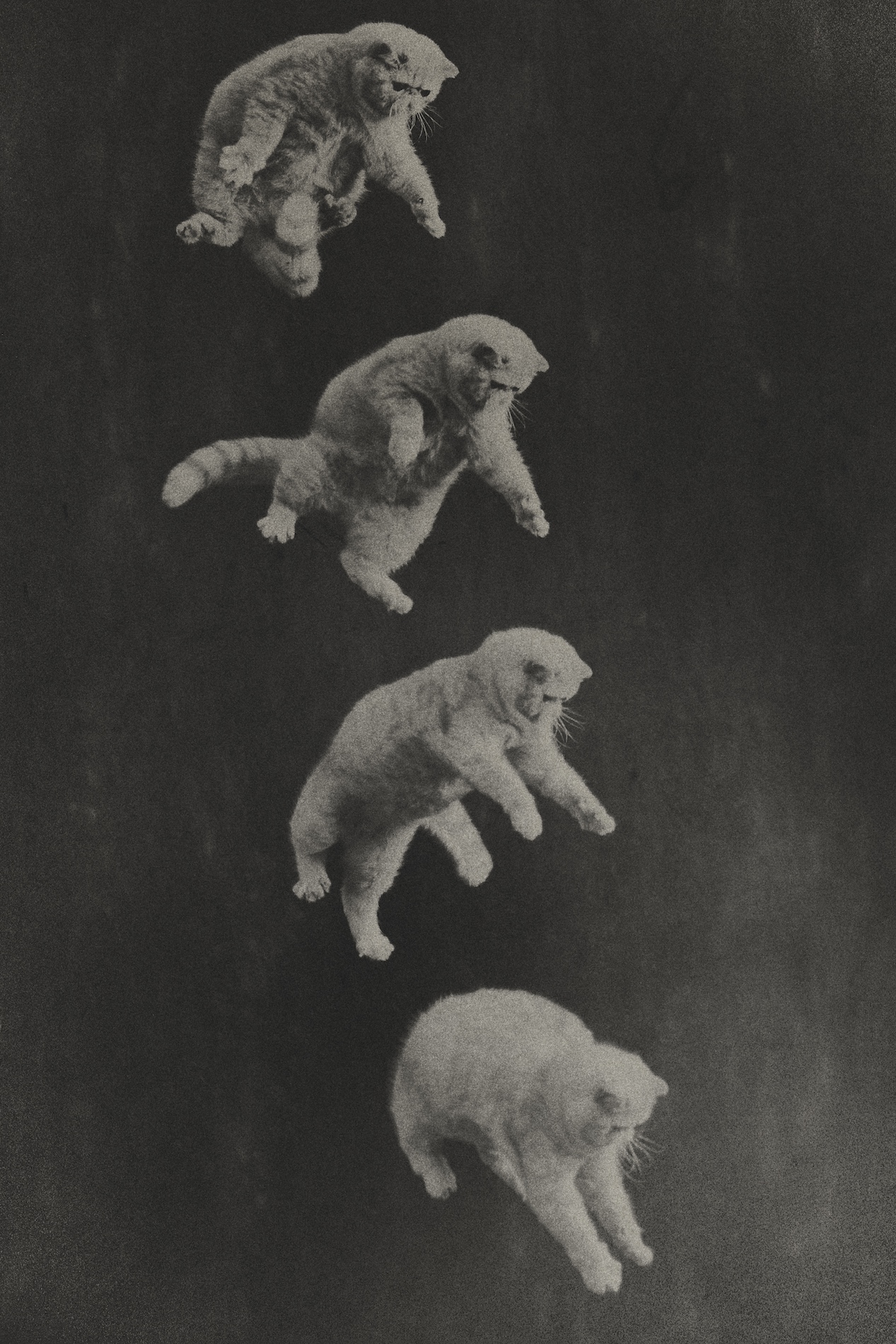 16 Henrik Bulow Fashion Craetive Paris 55