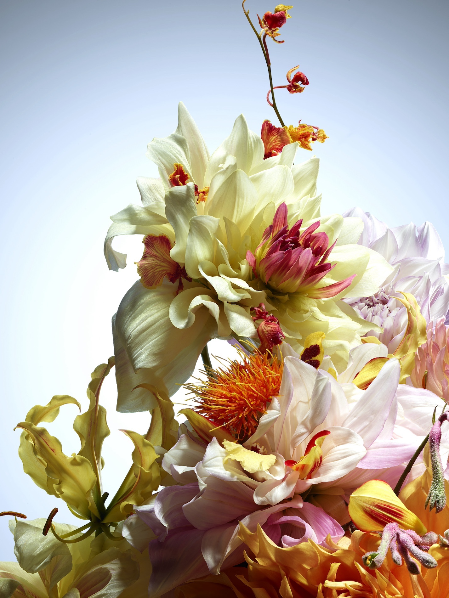 16 Thyrse Craetive Paris Portfolio Jean Baptiste Degez 02