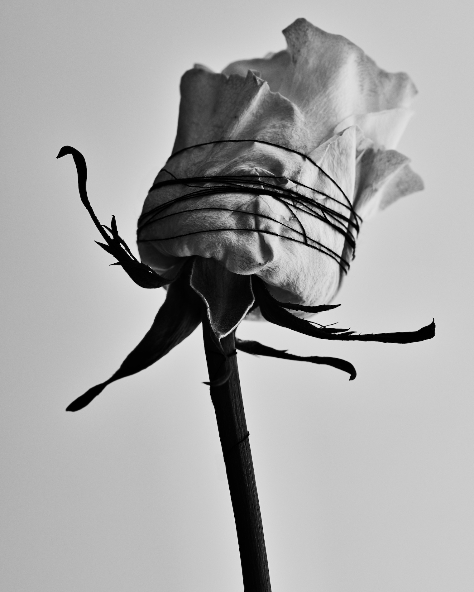 17 Fernando Gomez Craetive Paris Beauty Skincare