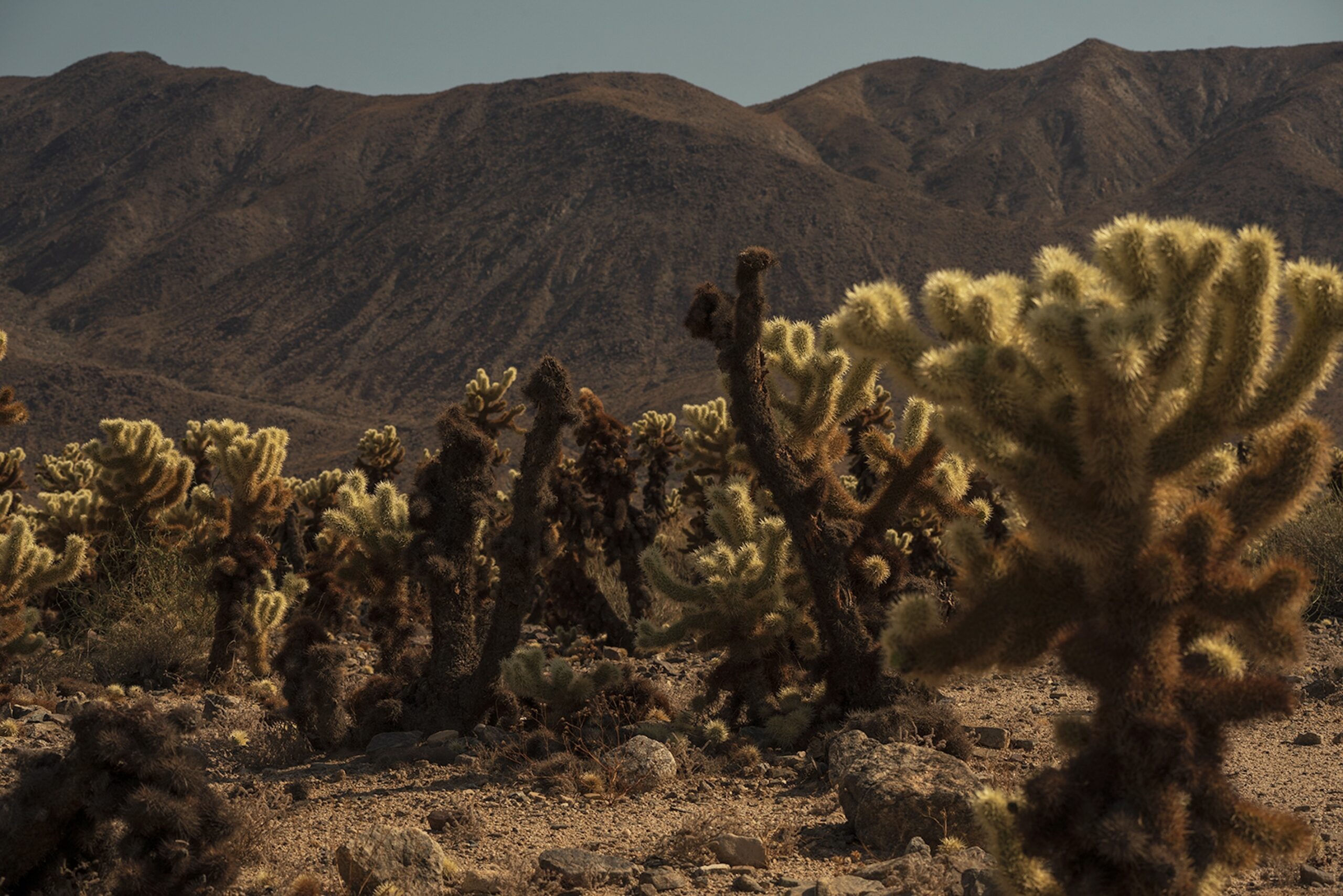 18 JEAN BAPTISTE DEGEZ LANDSCAPES CRAETIVE PARIS USA 13