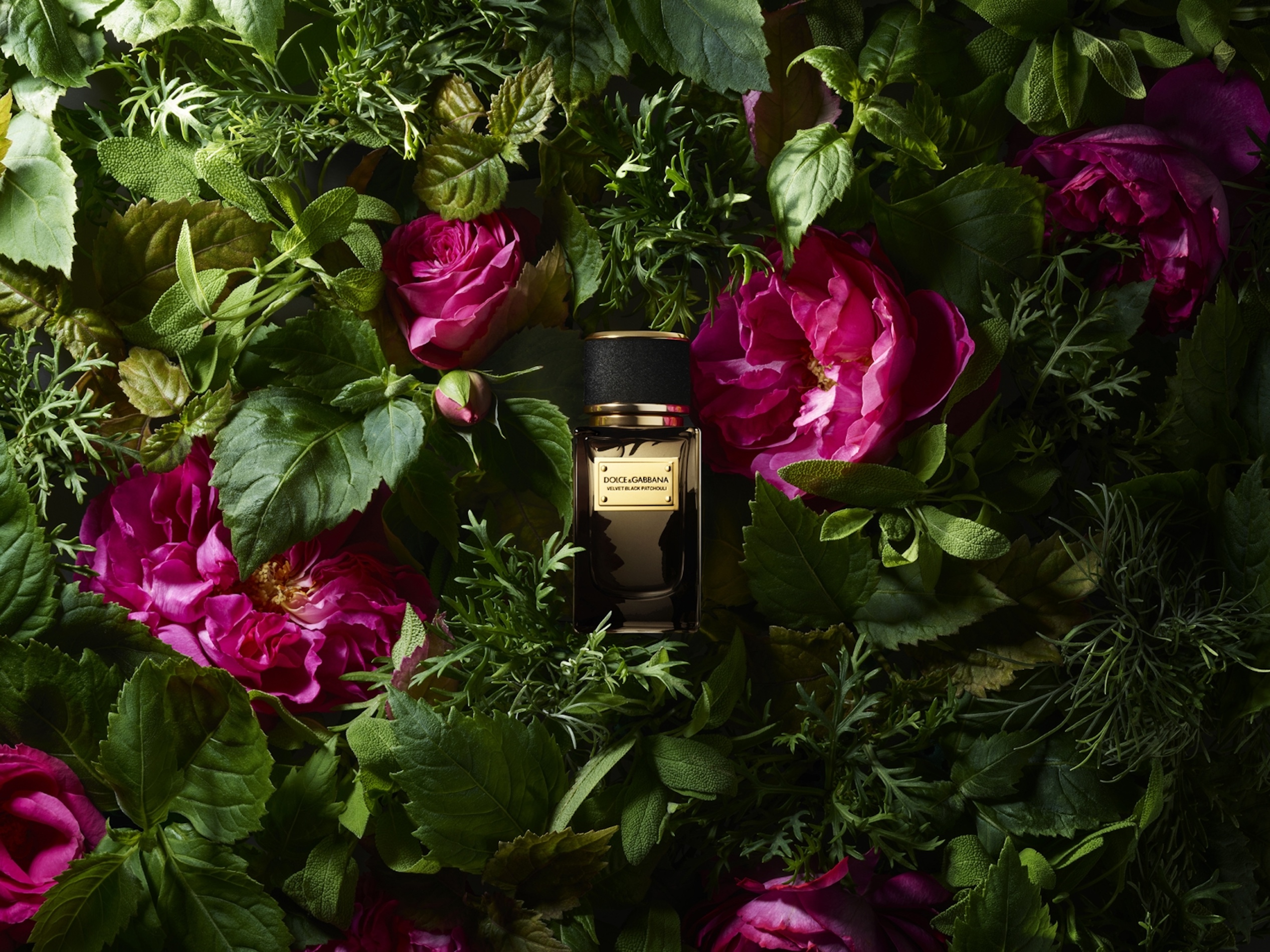 19 Jean Baptiste Degez Fragrances Craetive Paris DOLCE GABANNA