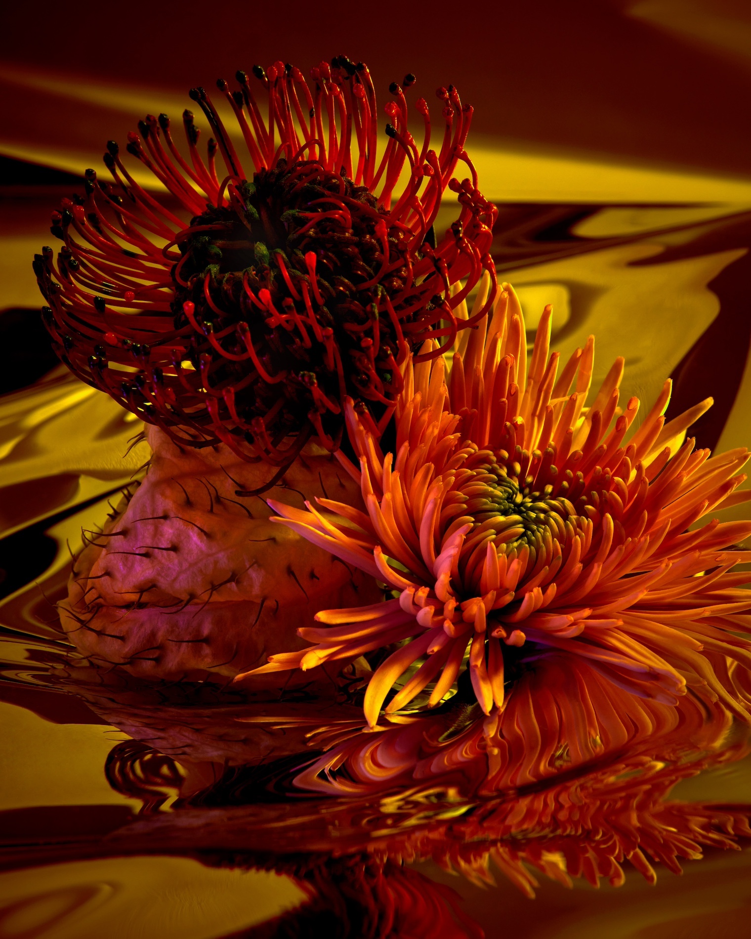 19 Thyrse Craetive Paris Portfolio BO 02