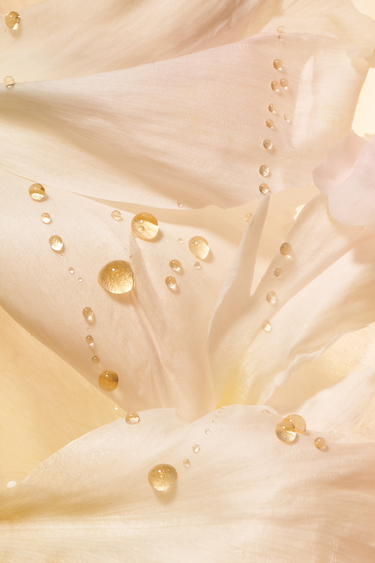 20 Fernando Gomez Craetive Paris Beauty Suncare