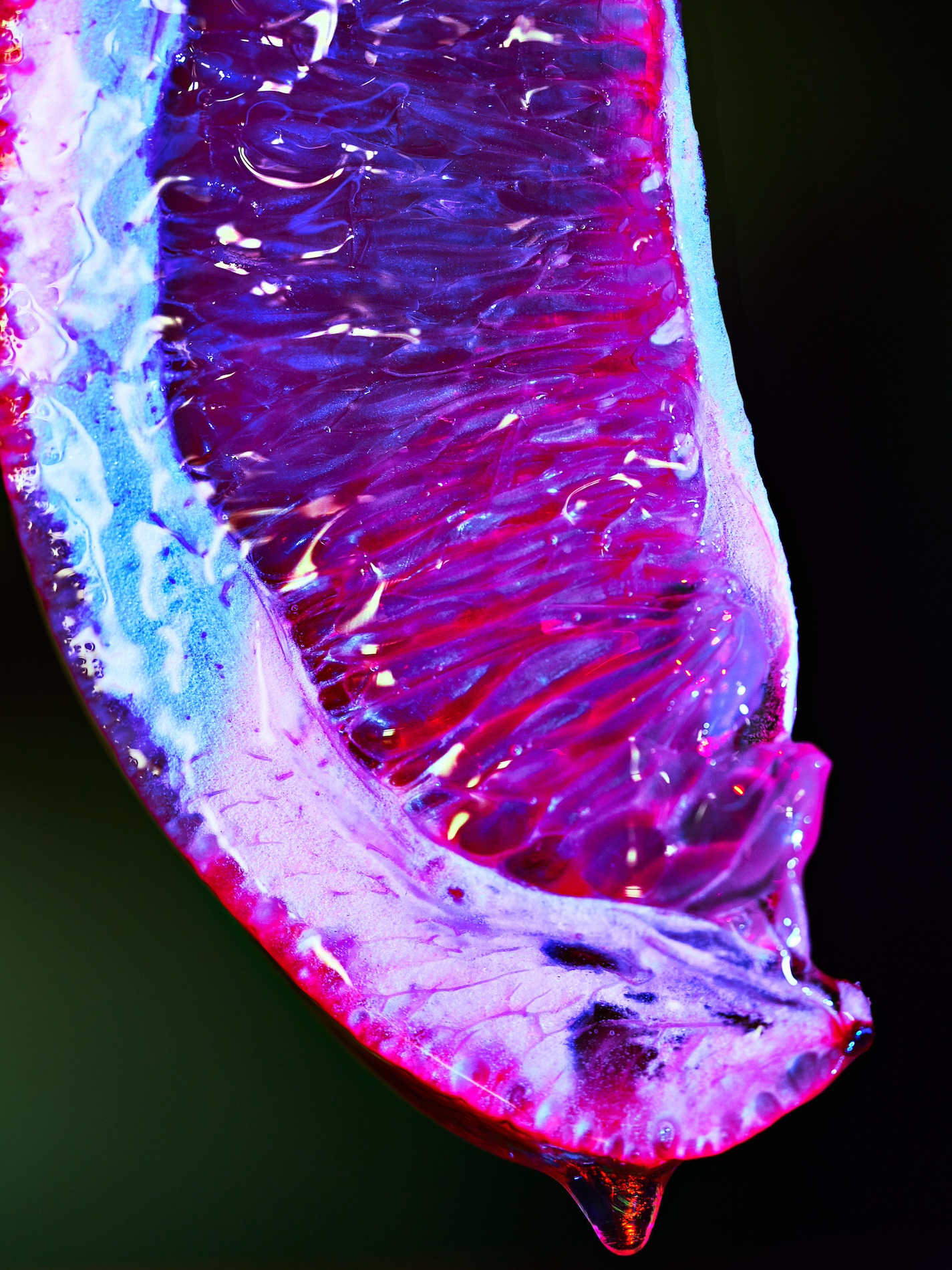 20 Fernando Gomez Craetive Paris Fragrances Flowers