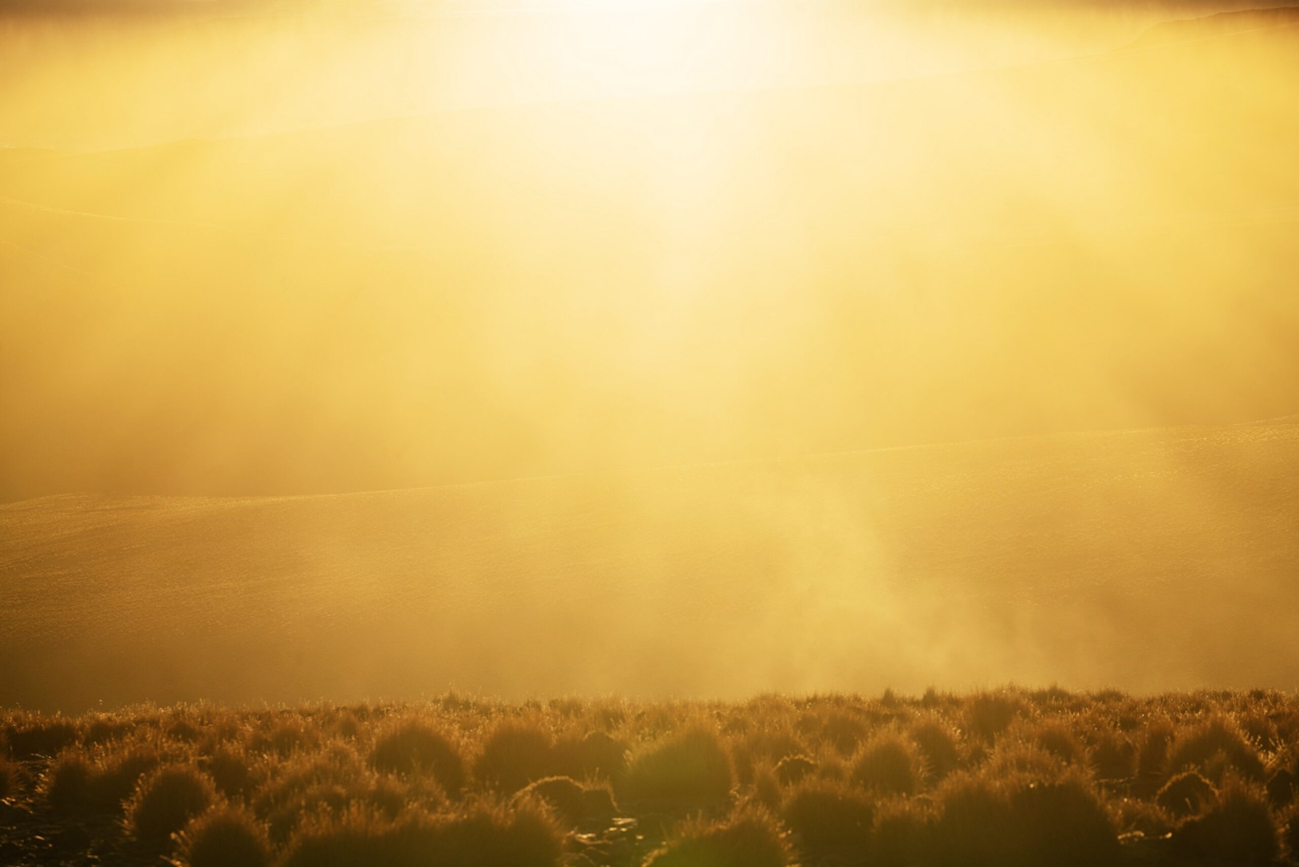 20 JEAN BAPTISTE DEGEZ LANDSCAPES CRAETIVE PARIS BOLIVIA