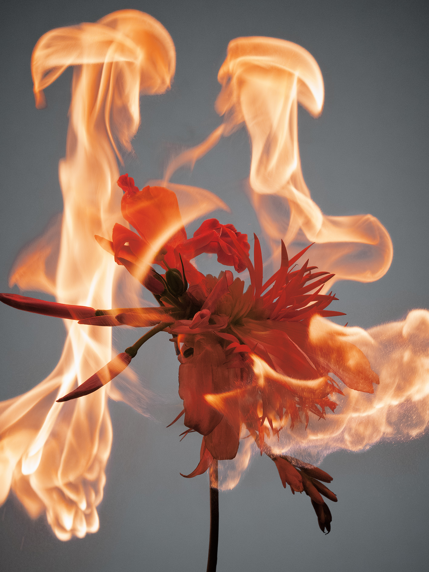 20 Jean Baptiste Degez Pauline Choffe Thyrse Craetive Paris Flames Fragrance FlowersStory