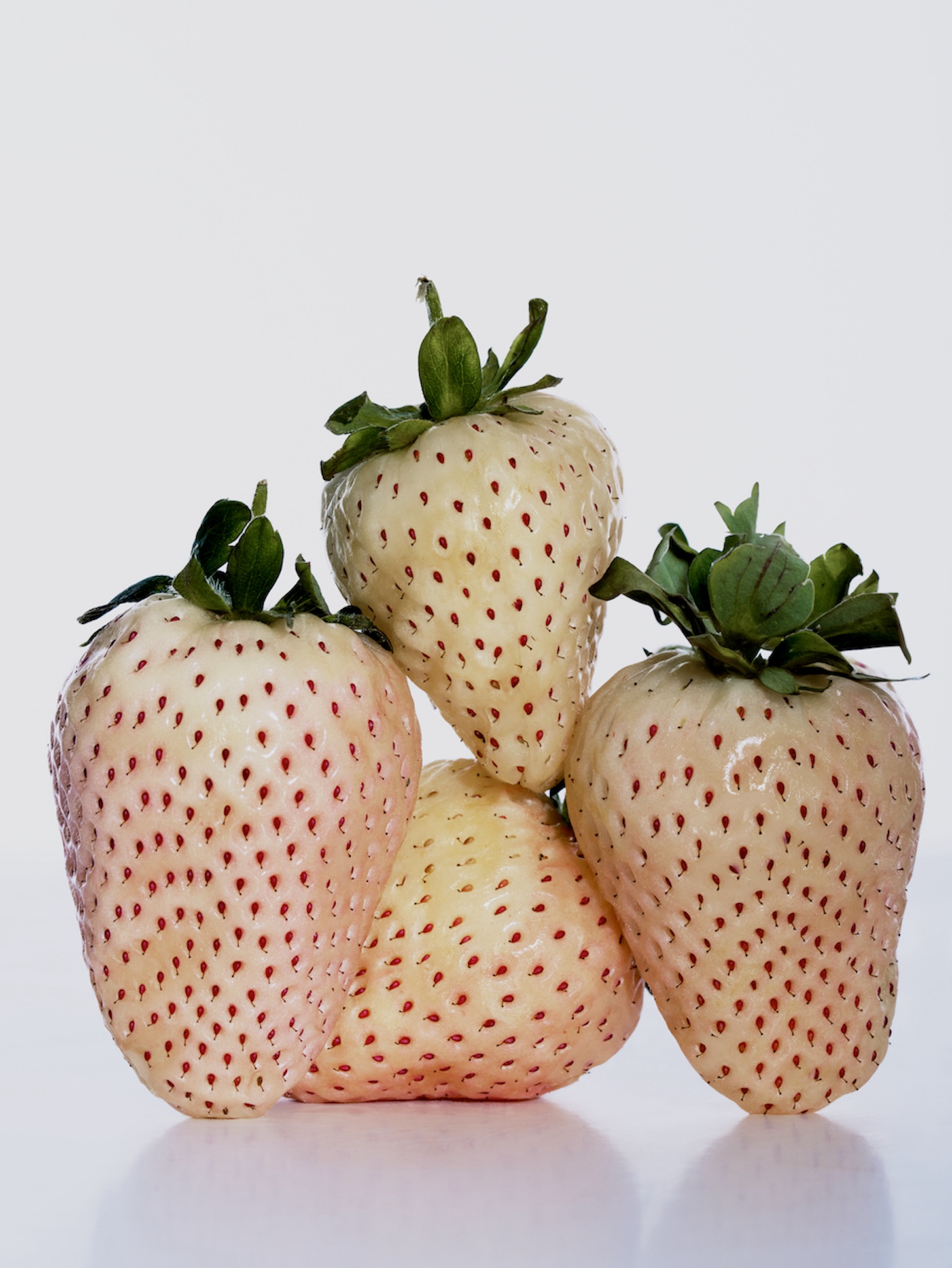 21 Fernando Gomez Craetive Paris Beauty Skincare