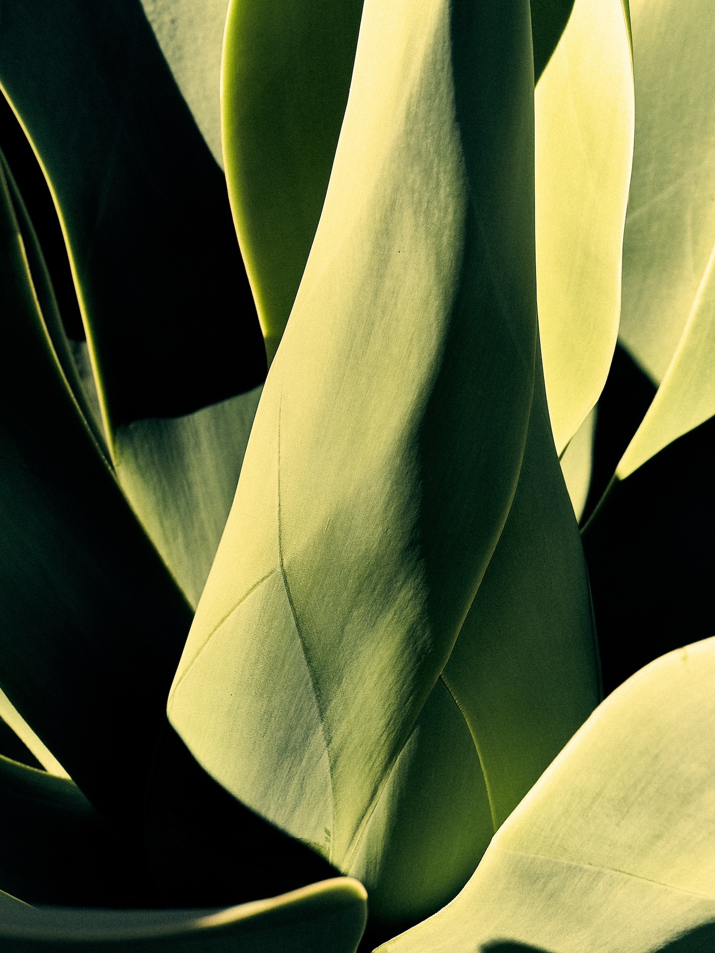 21 Fernando Gomez Craetive Paris Beauty Suncare