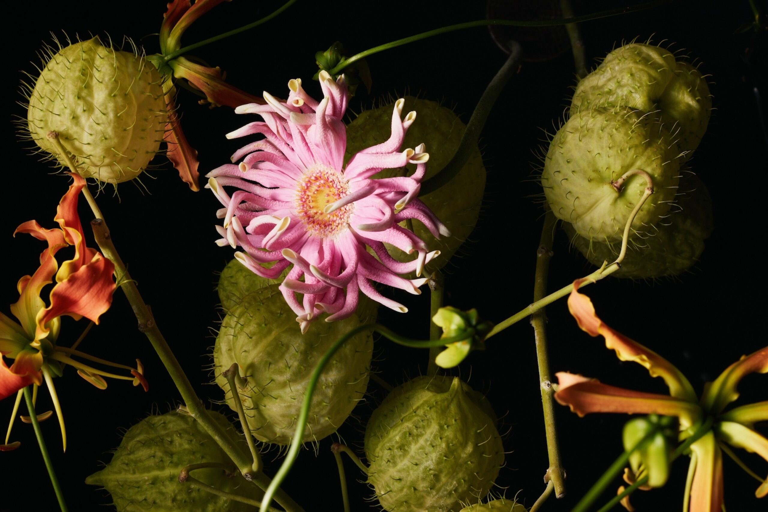 21 Thyrse Craetive Paris Portfolio UF 04 Scaled