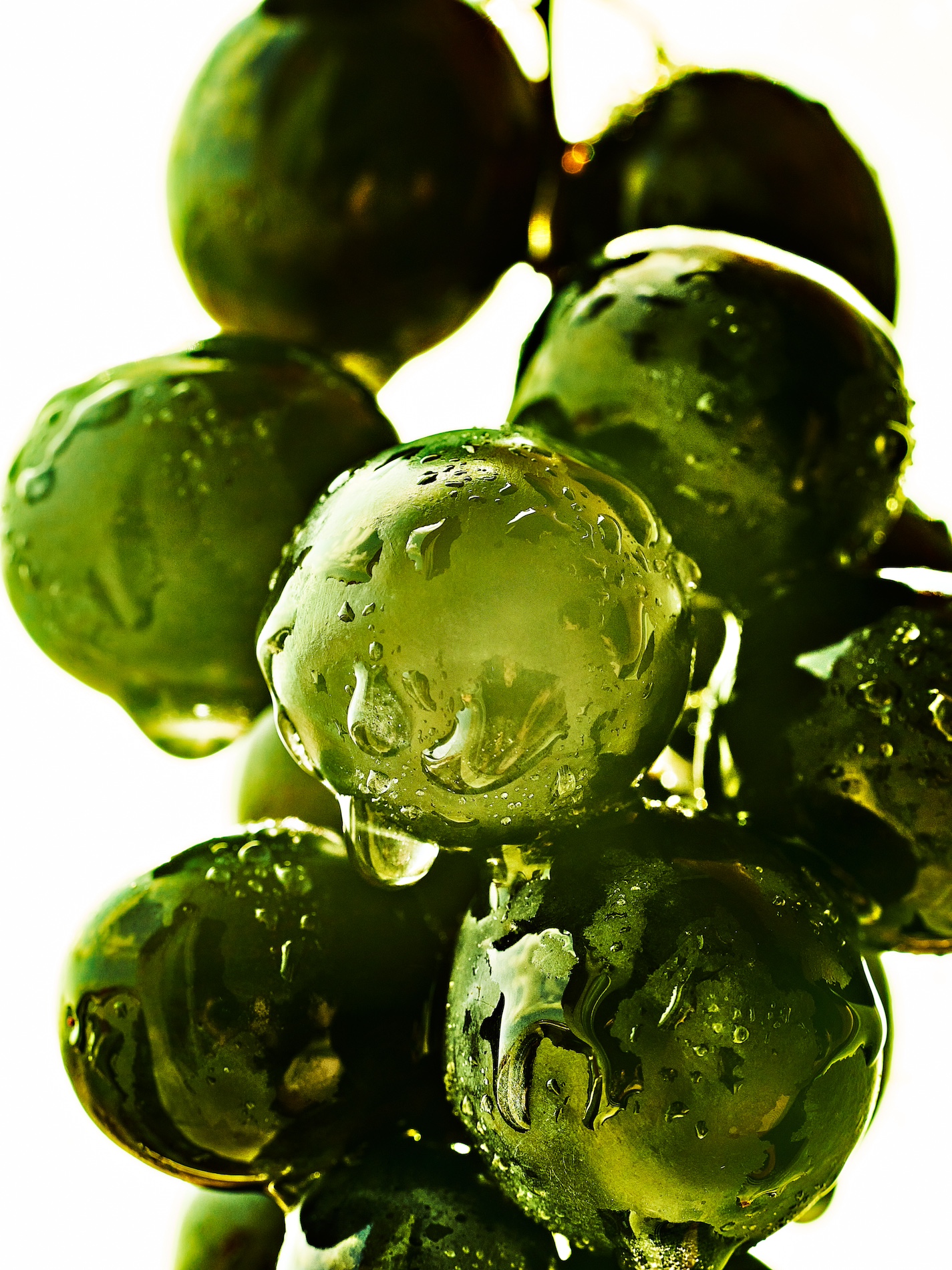 24 Fernando Gomez Craetive Paris Beauty Skincare