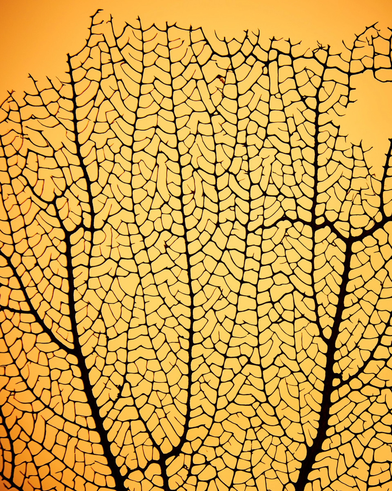 24 Fernando Gomez Craetive Paris Beauty Suncare