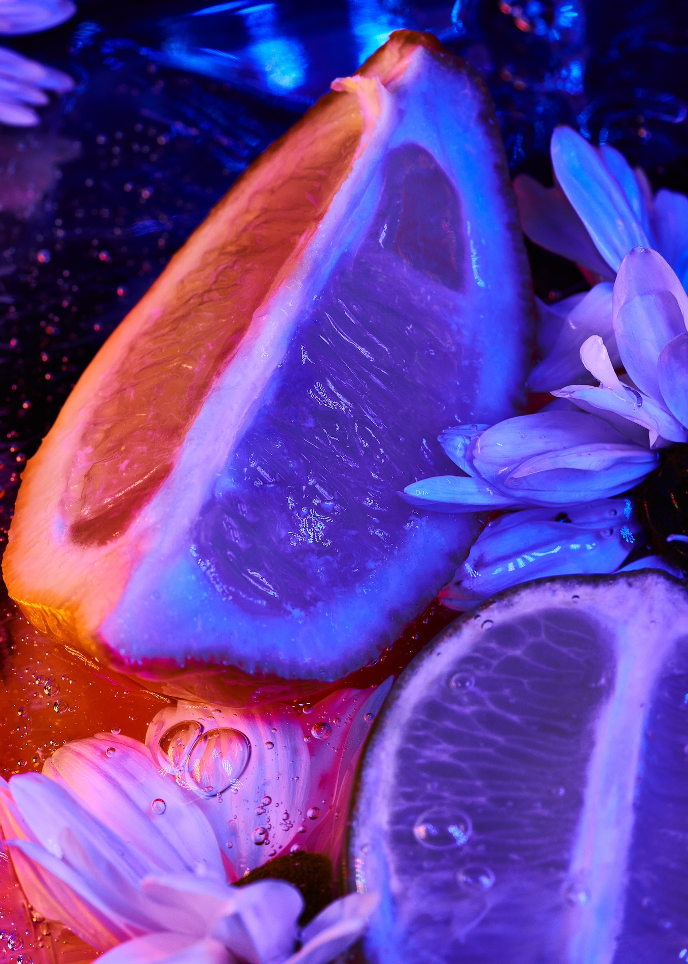 24 Fernando Gomez Craetive Paris Fragrances Flowers