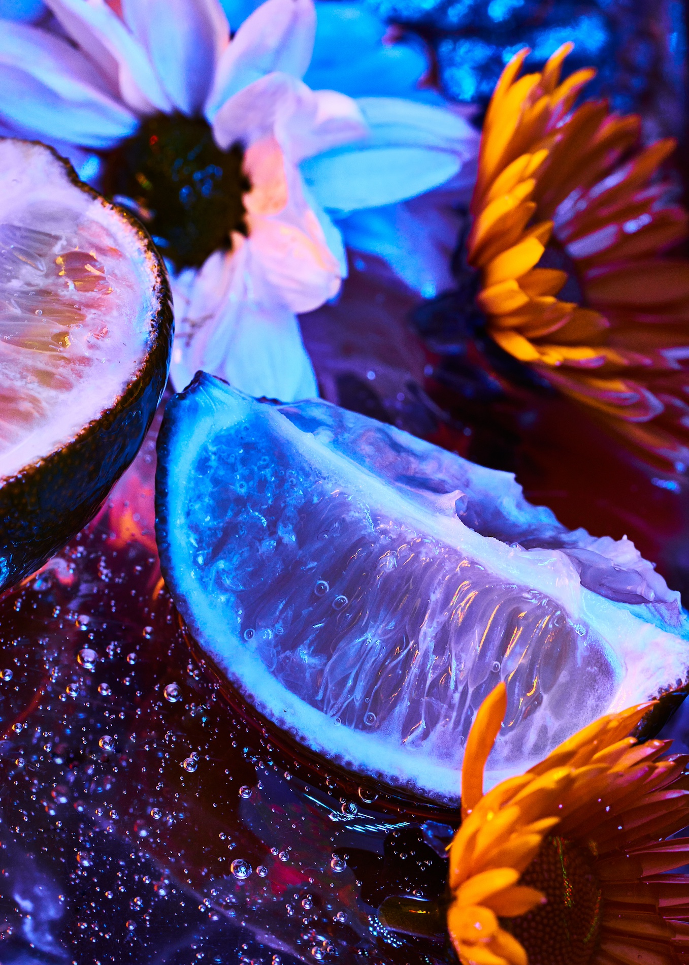 26 Fernando Gomez Craetive Paris Fragrances Flowers