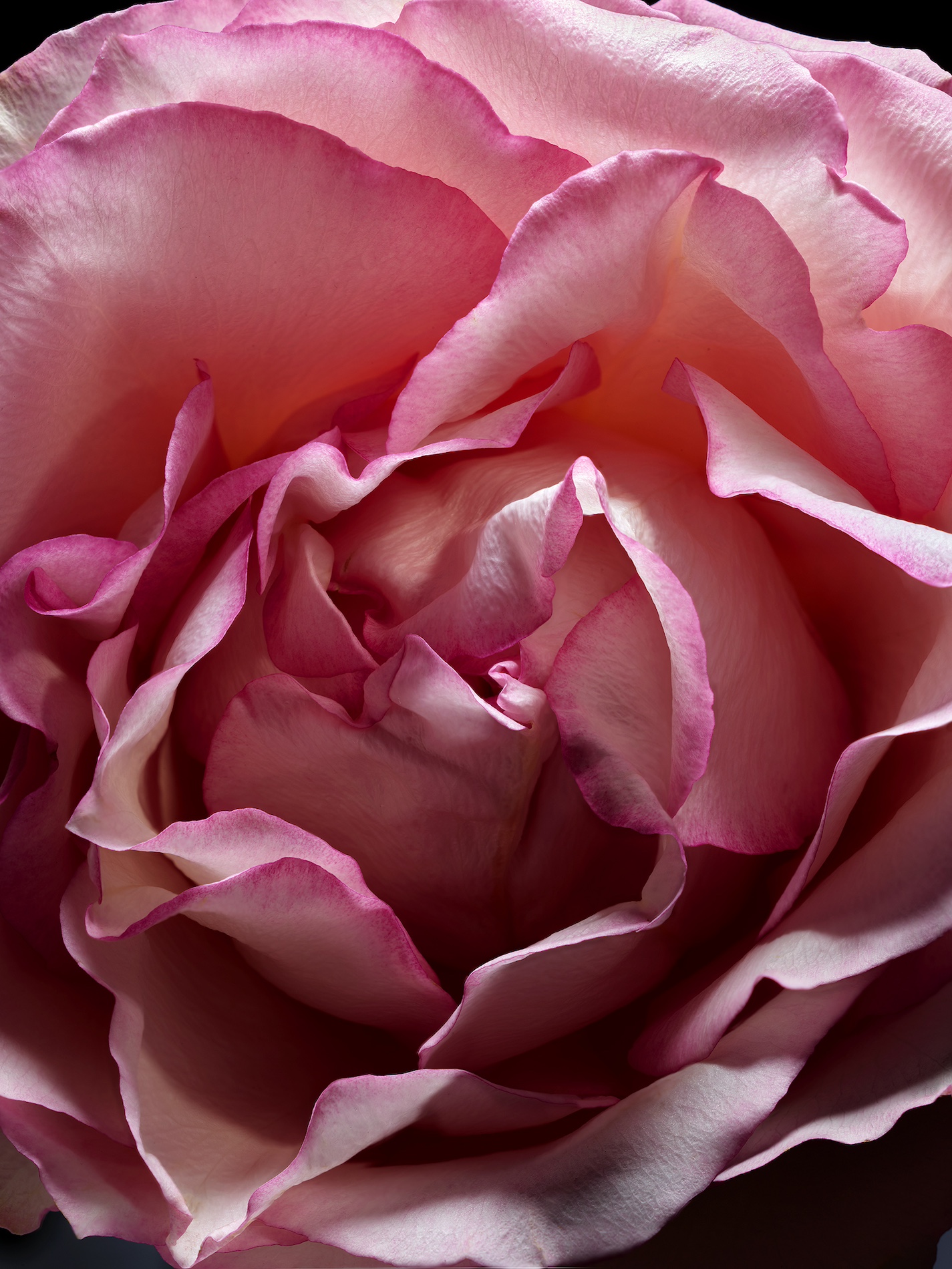 26 Jean Baptiste Degez Fragrances Craetive Paris Jean Baptiste Degez Fragrances Craetive Paris