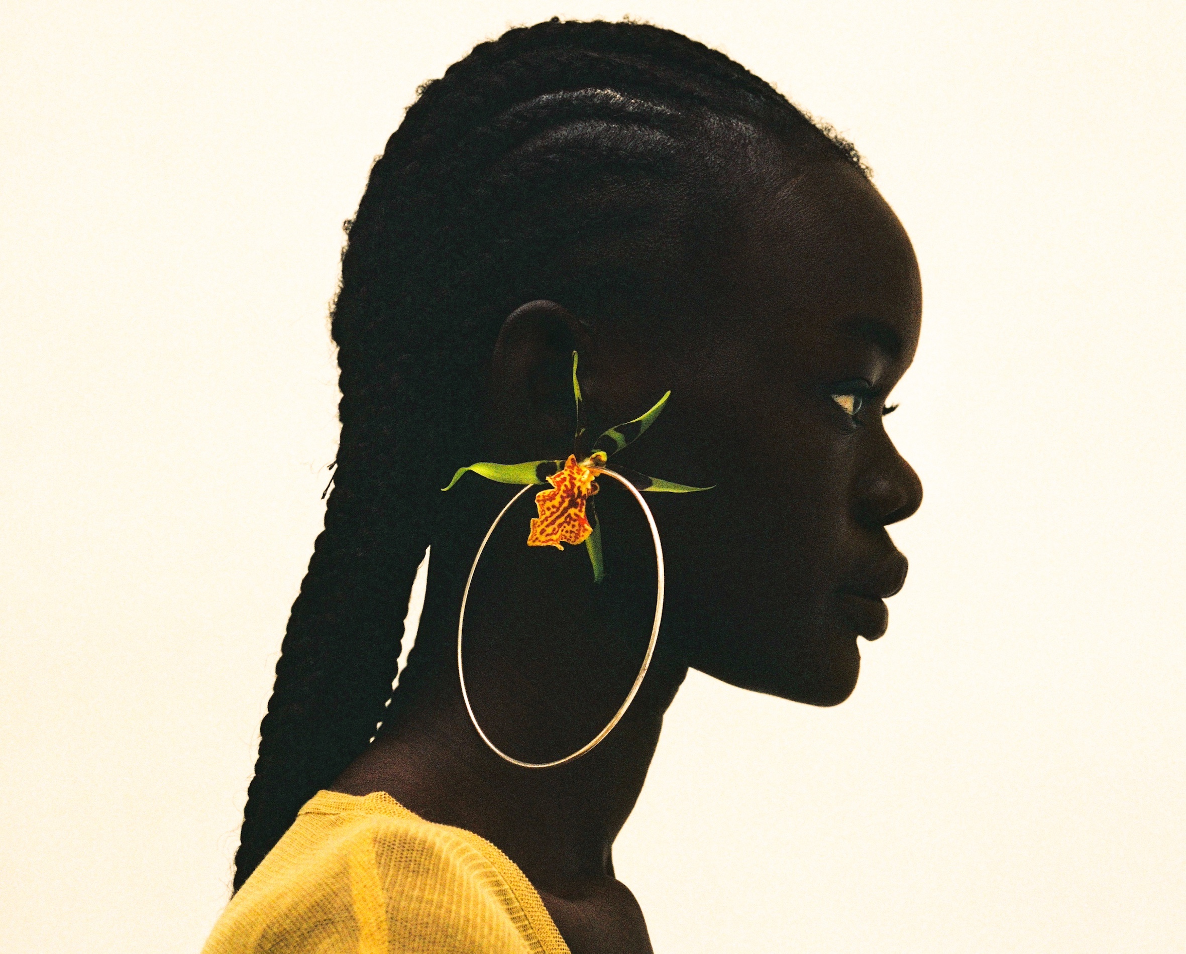 27 Thyrse Craetive Paris Portfolio Blumenhaus09