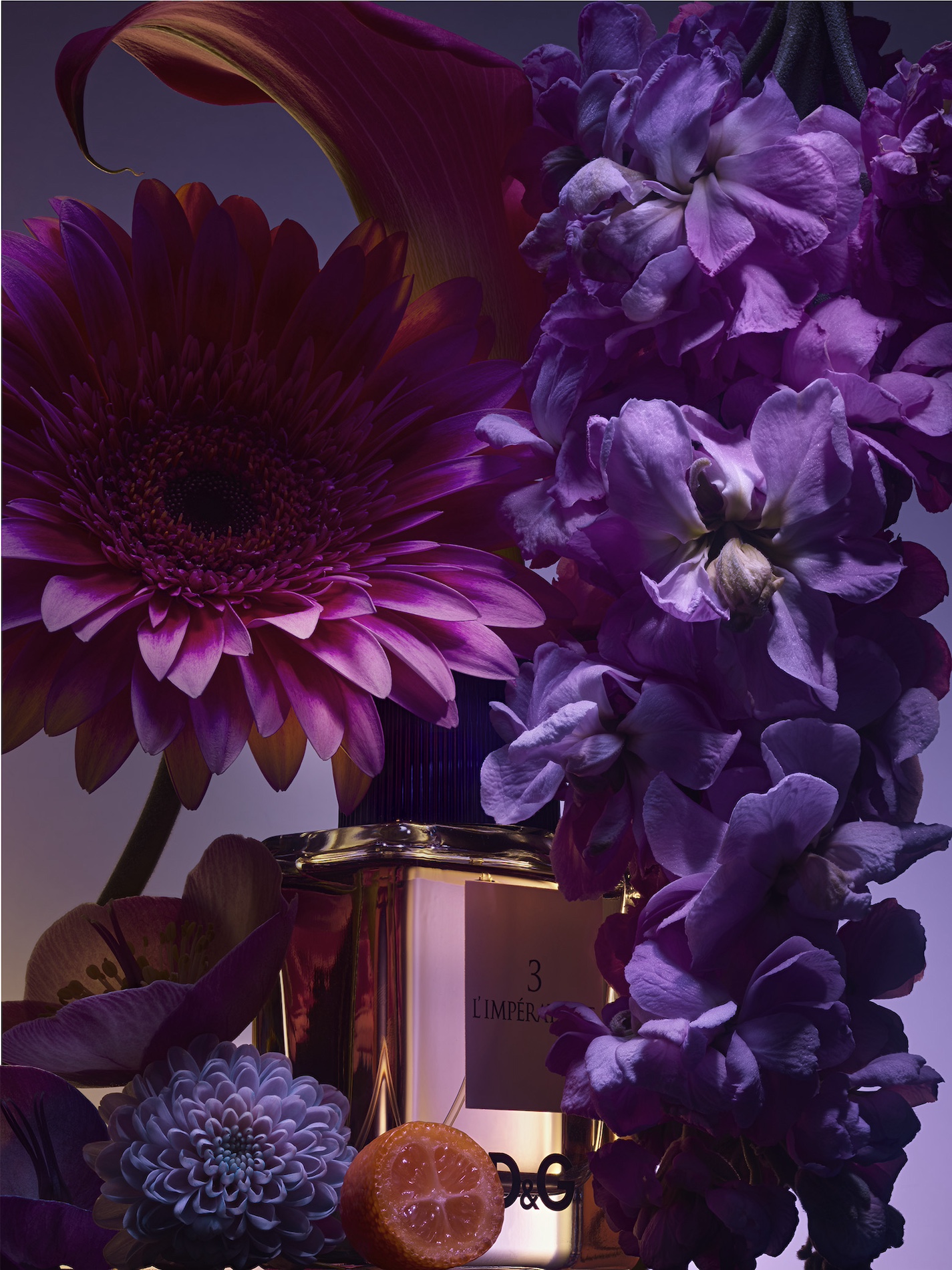 30 Jean Baptiste Degez Fragrances Craetive Paris DOLCE GABANNA