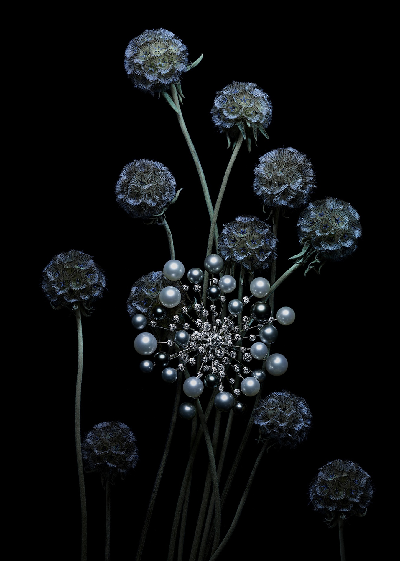 30 Jean Baptiste Degez Jewelry Craetive Paris