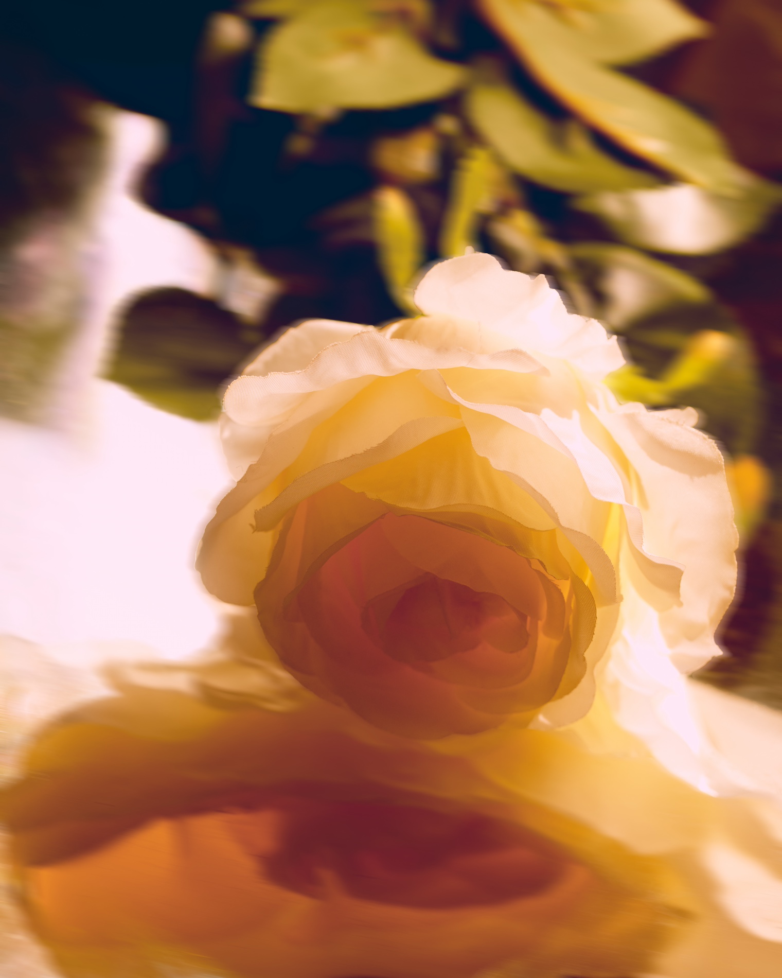 32 Fernando Gomez Craetive Paris Beauty Suncare