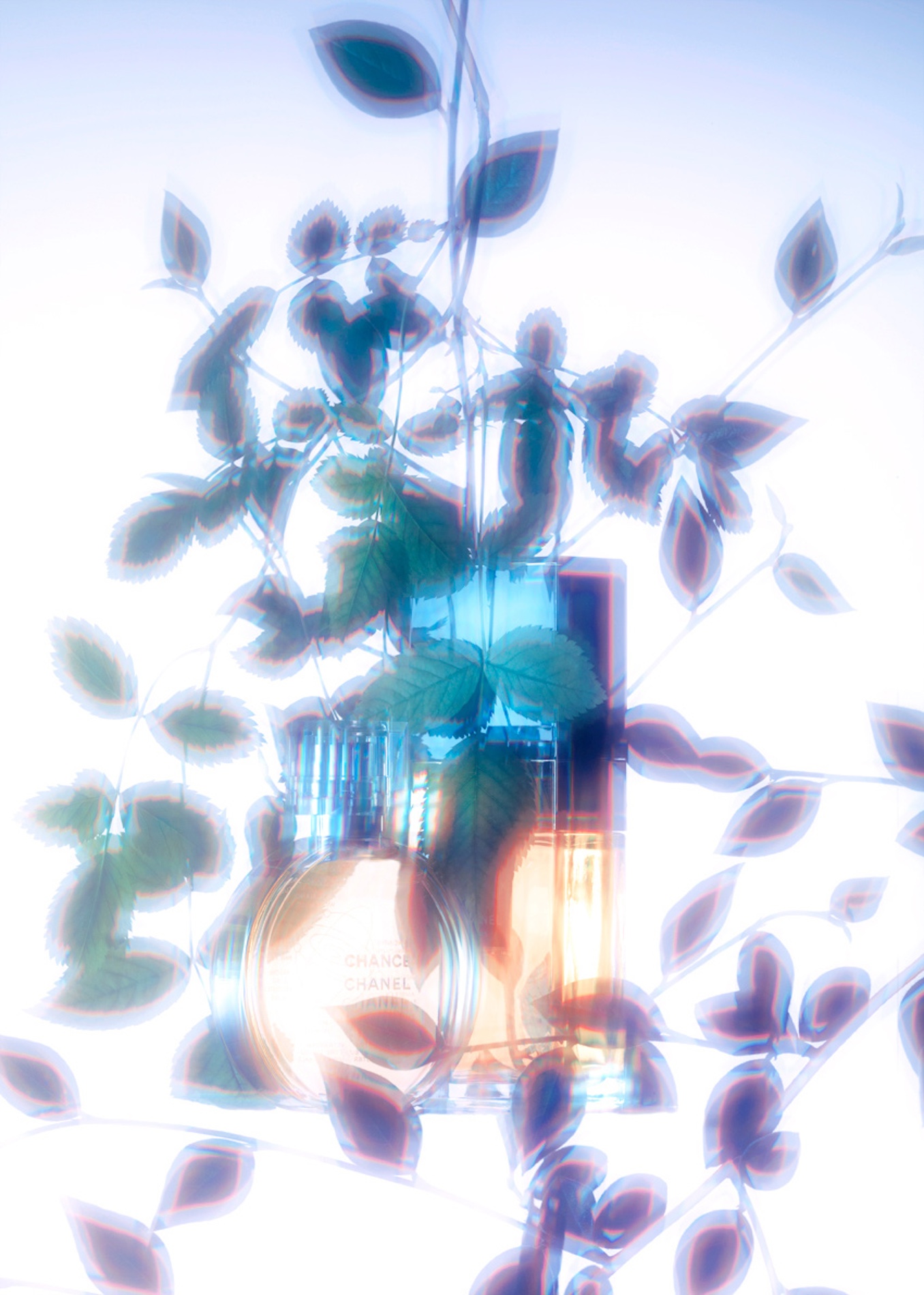 33 Jean Baptiste Degez Fragrances Craetive Paris Jean Baptiste Degez Fragrances Craetive Paris