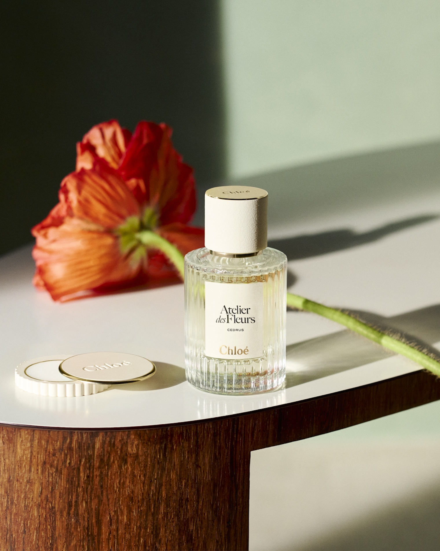 34 Thyrse Craetive Paris Portfolio Chloe